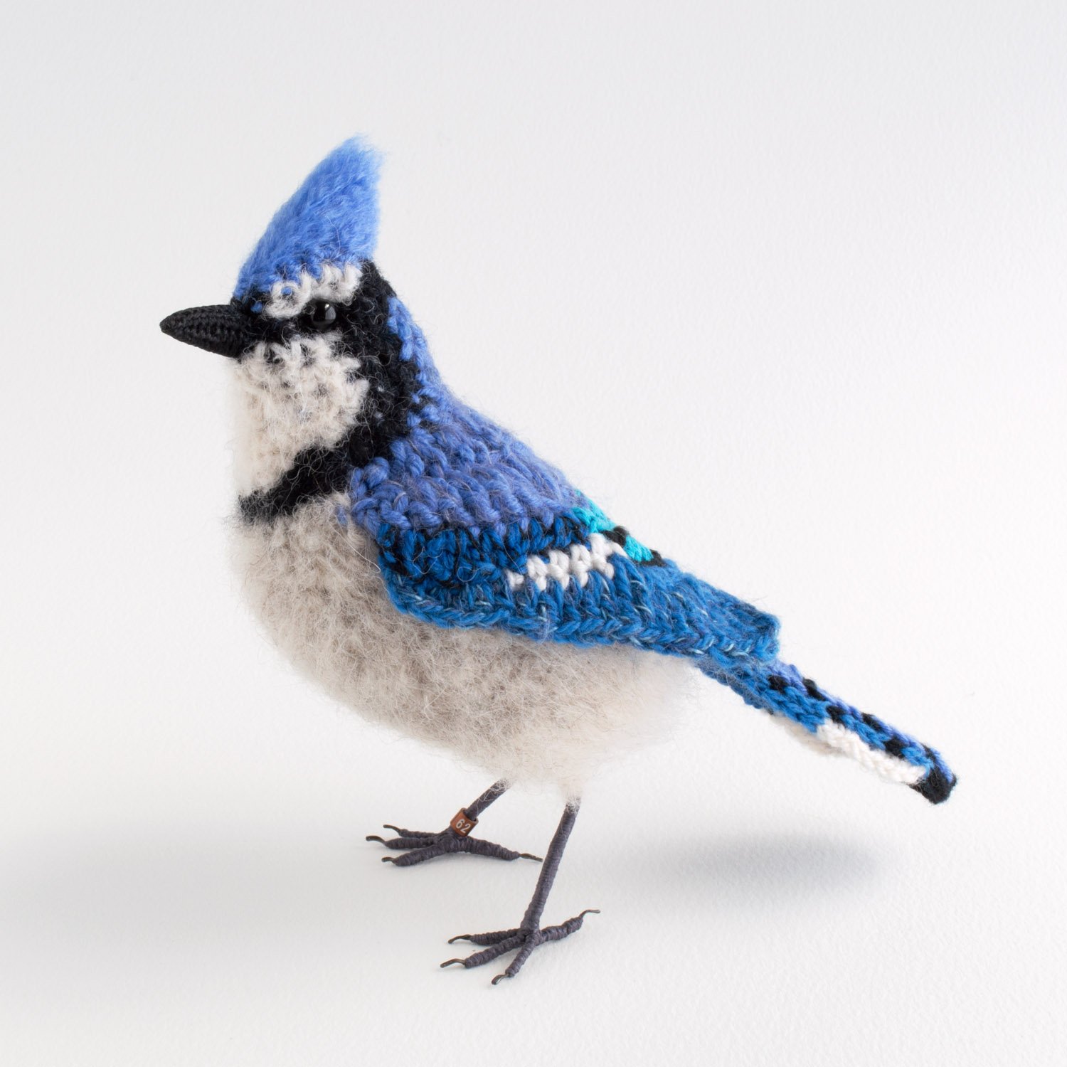2022 v2 Blue jay 1 1500px.jpg