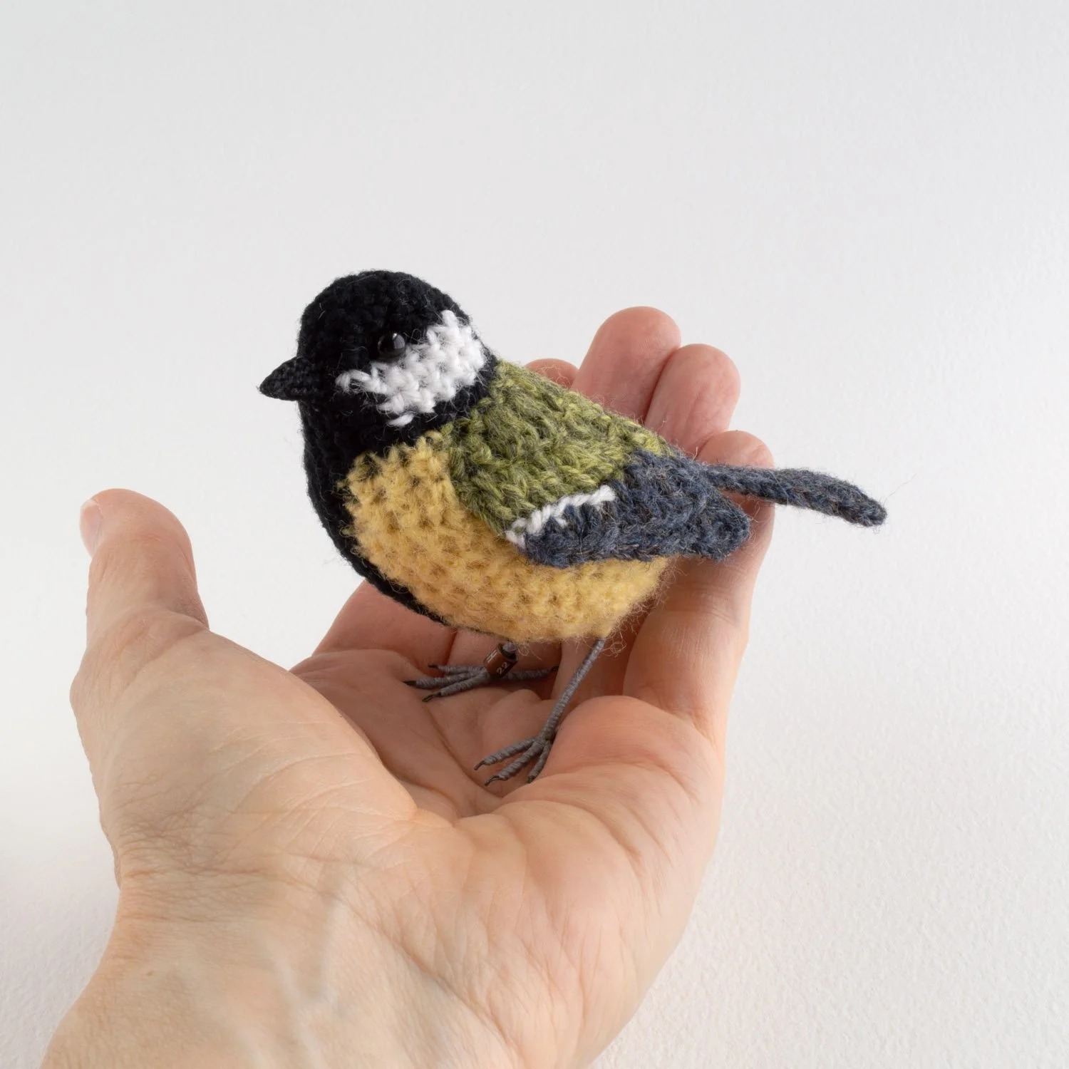 2022 Great tit 5 1500px - in hand.jpg