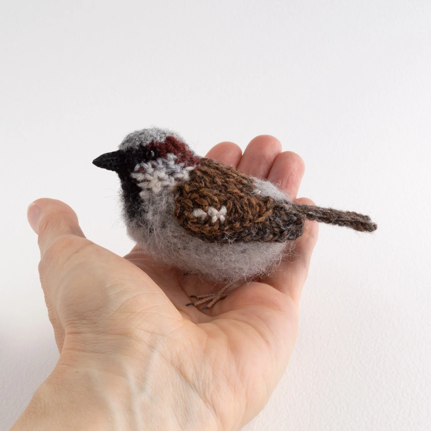 2022 Sparrow male 1 1500px - in hand.jpg