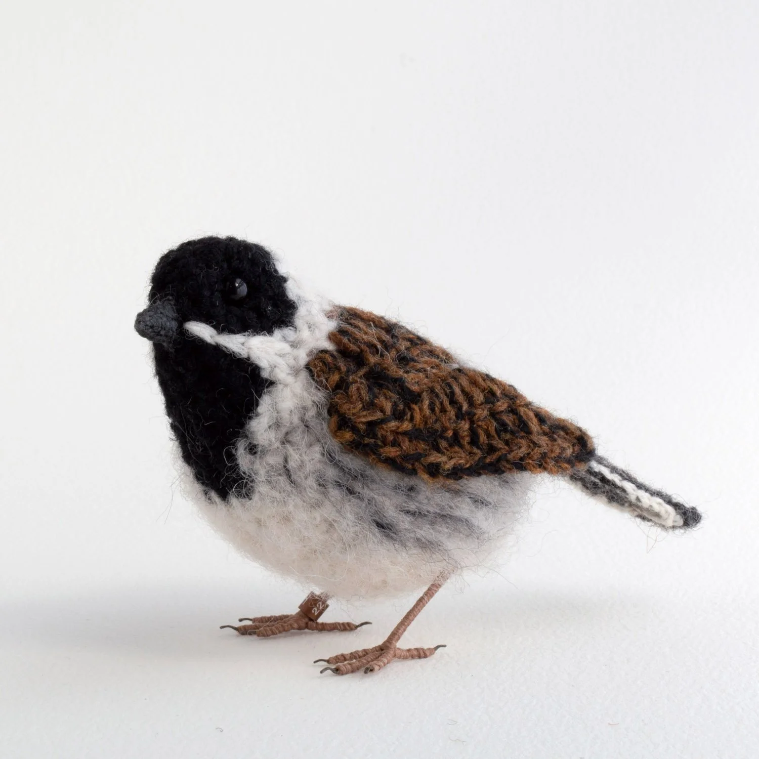 Reed bunting 4 1500px.jpg
