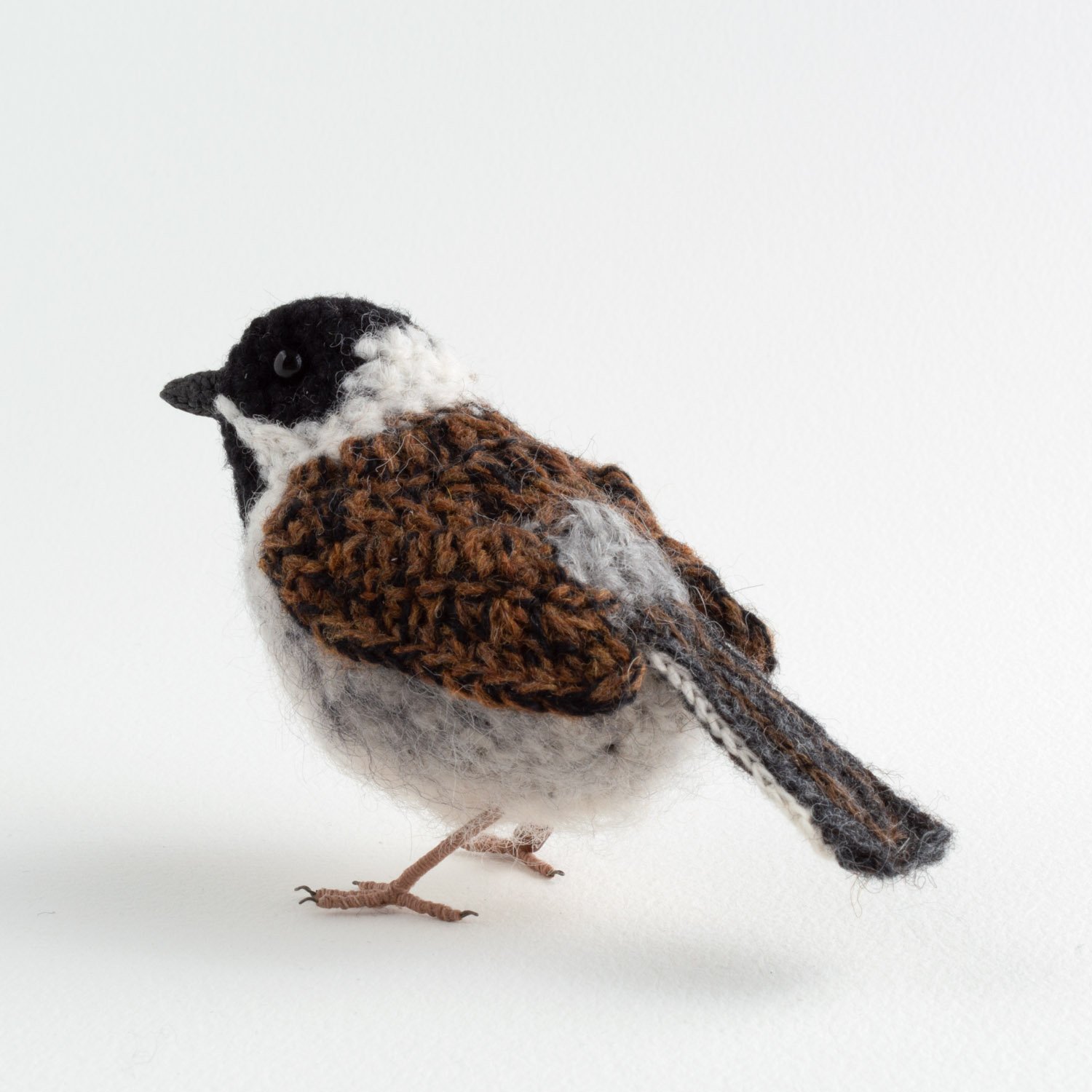 Reed bunting 9 1500px.jpg