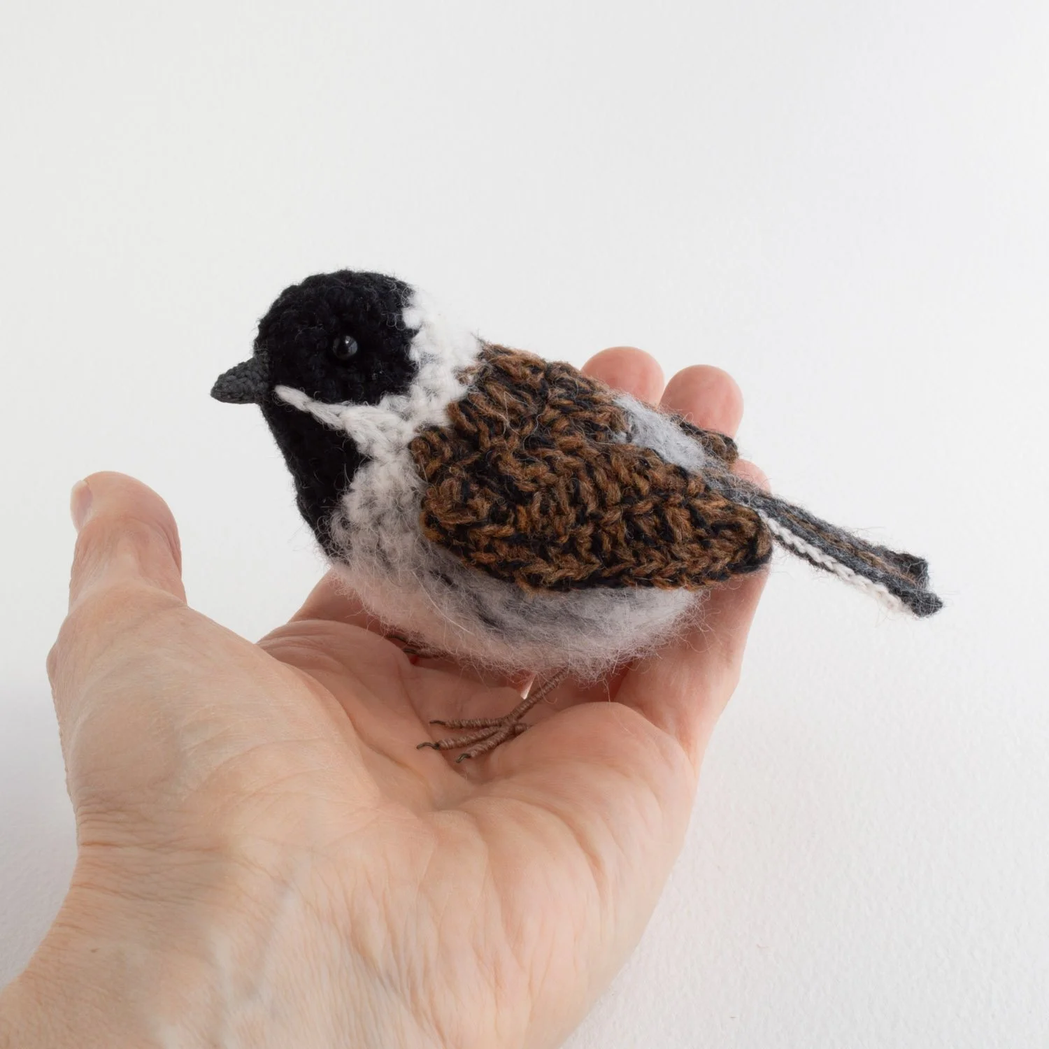 Reed bunting 13 1500px - in hand.jpg