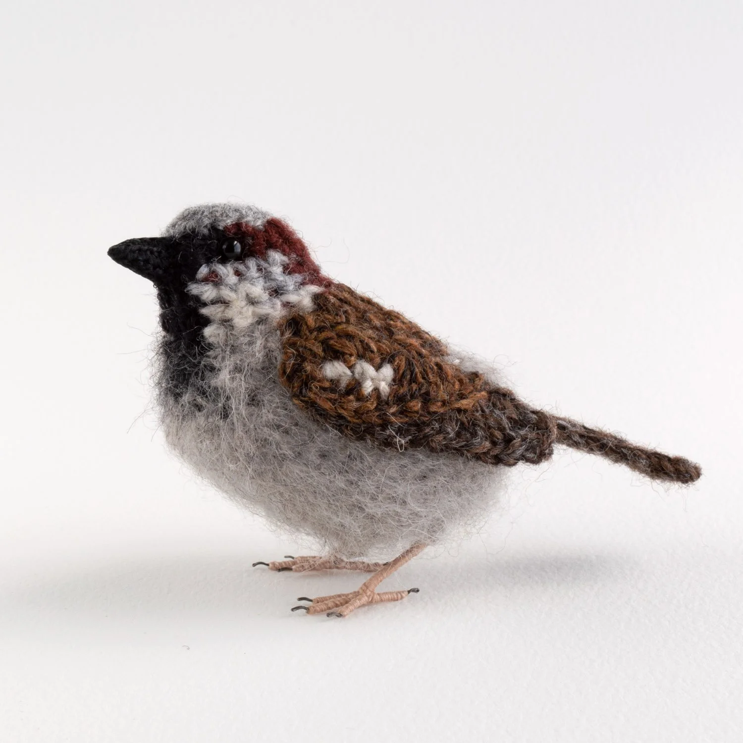 2022 Sparrow male 4 1500px.jpg