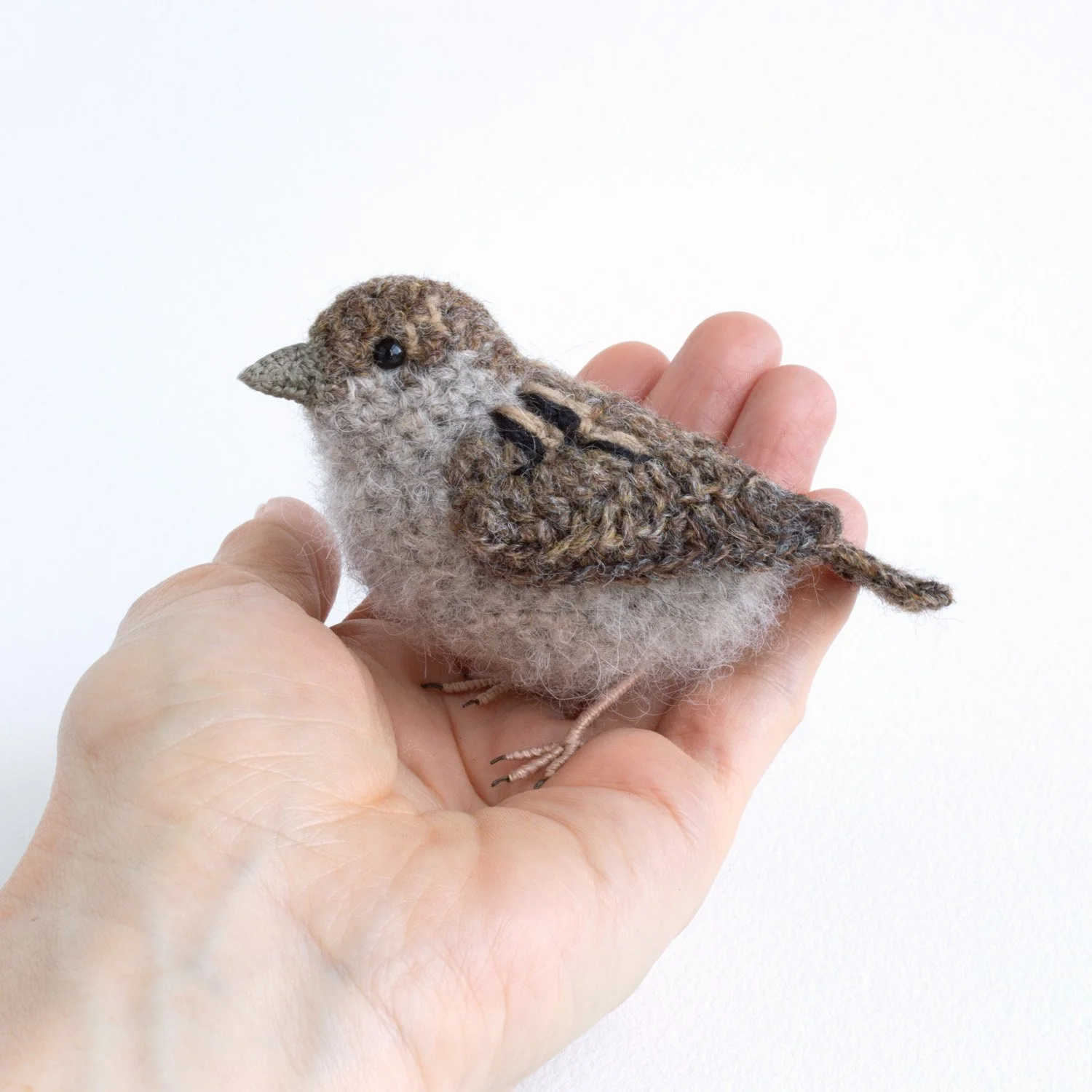 2022 Female sparrow (in hand) 2 1500px.jpg