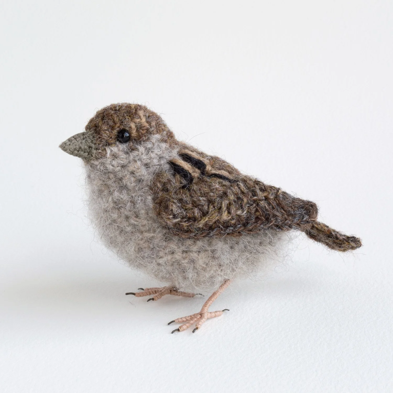 2022 Female sparrow 1 1500px.jpg