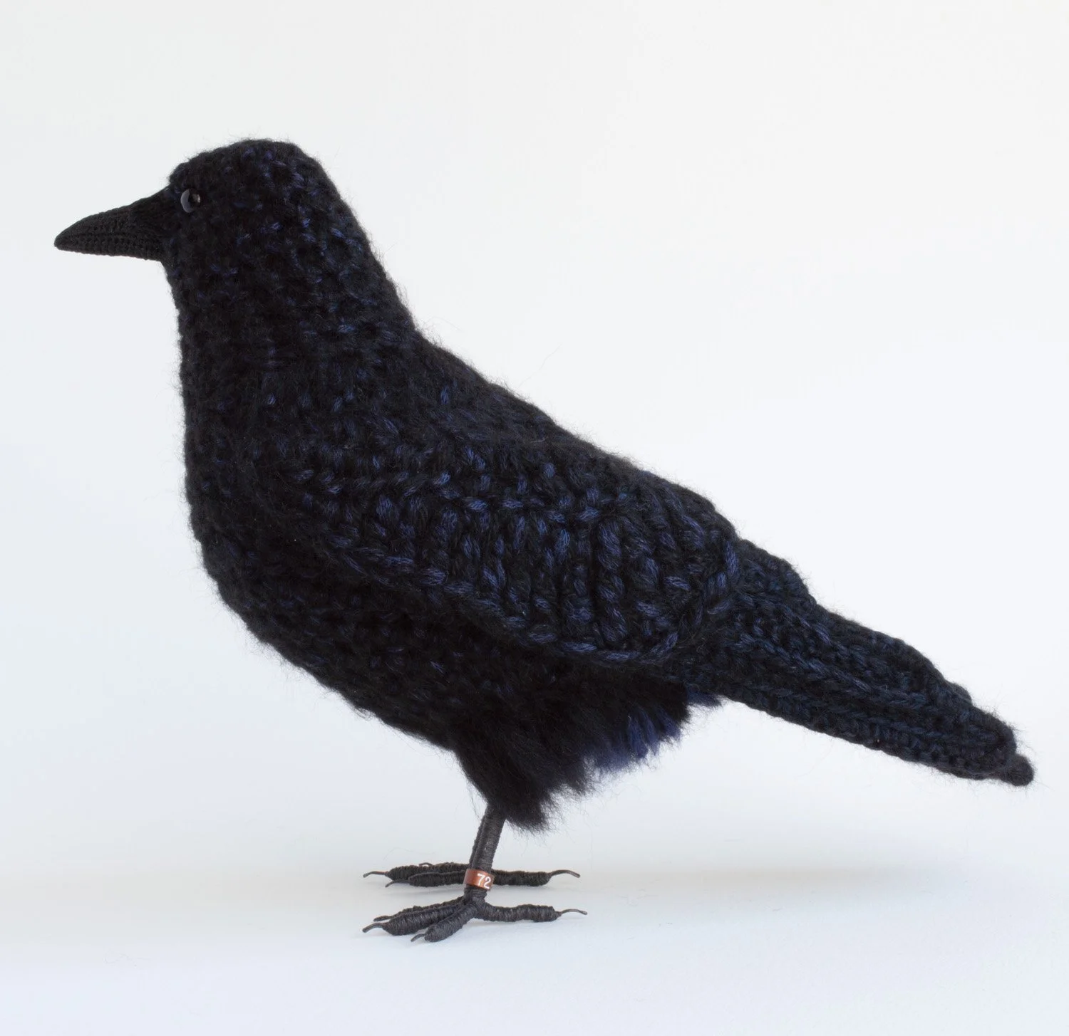 2022 Crow 6 1500px.jpg