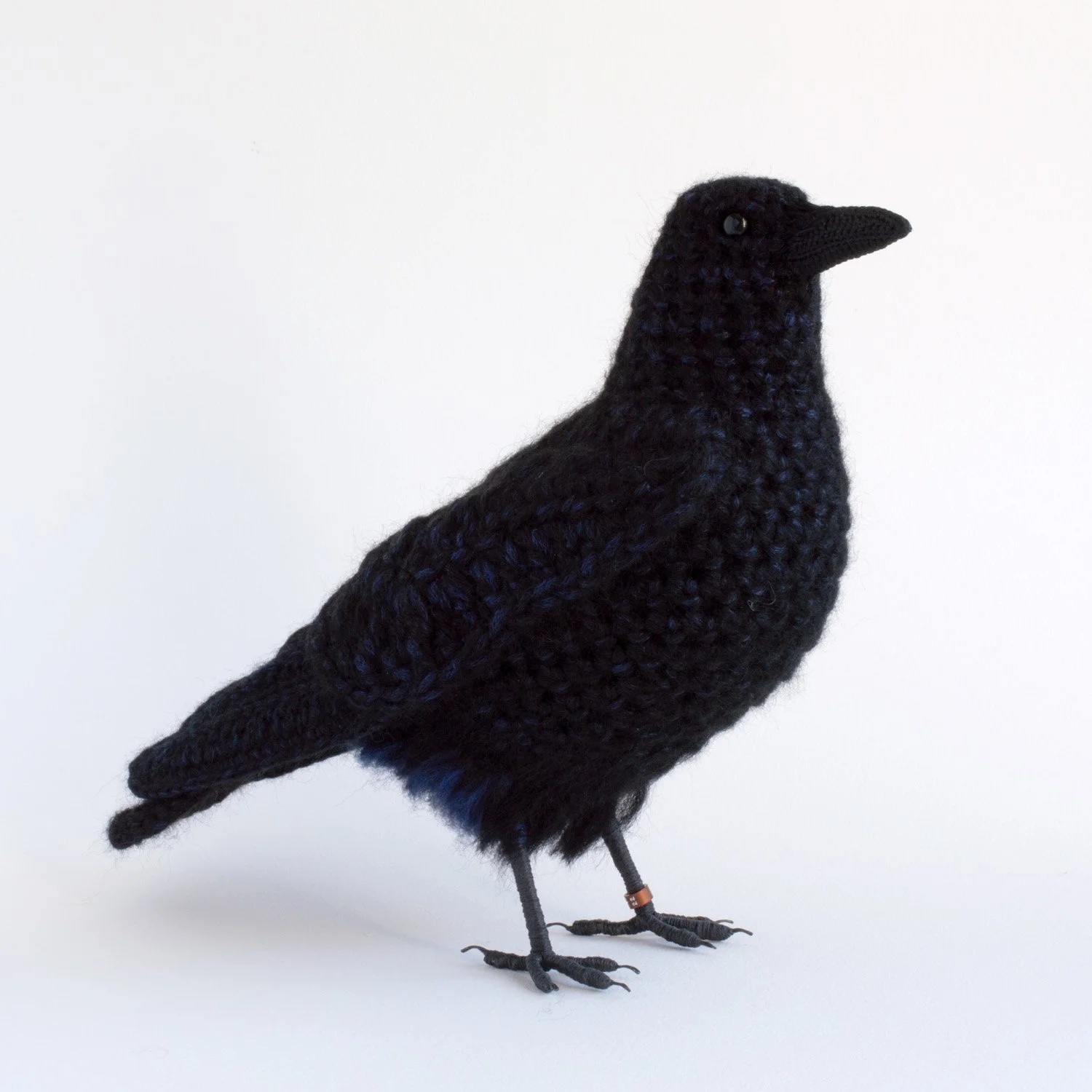 2022 Crow 3 1500px.jpg