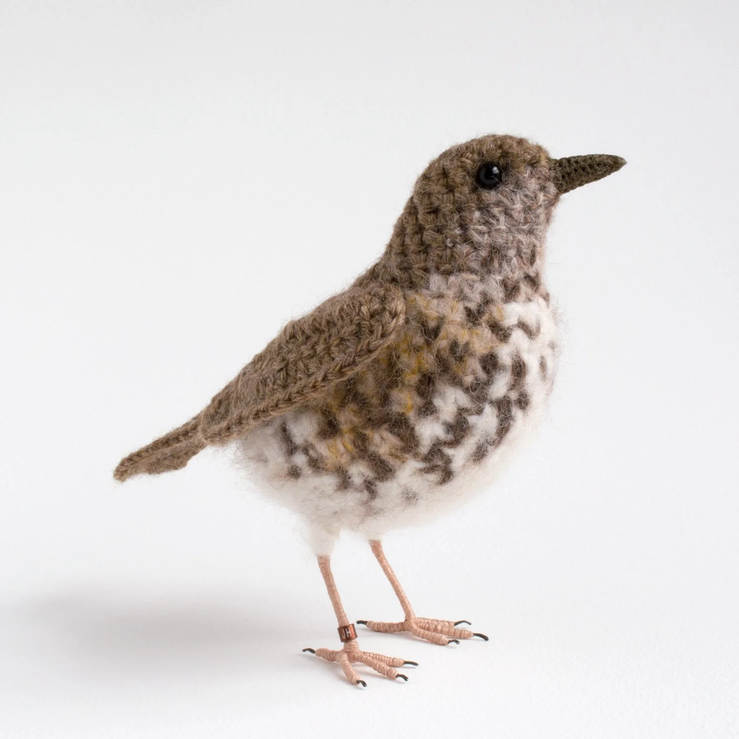 Song Thrush