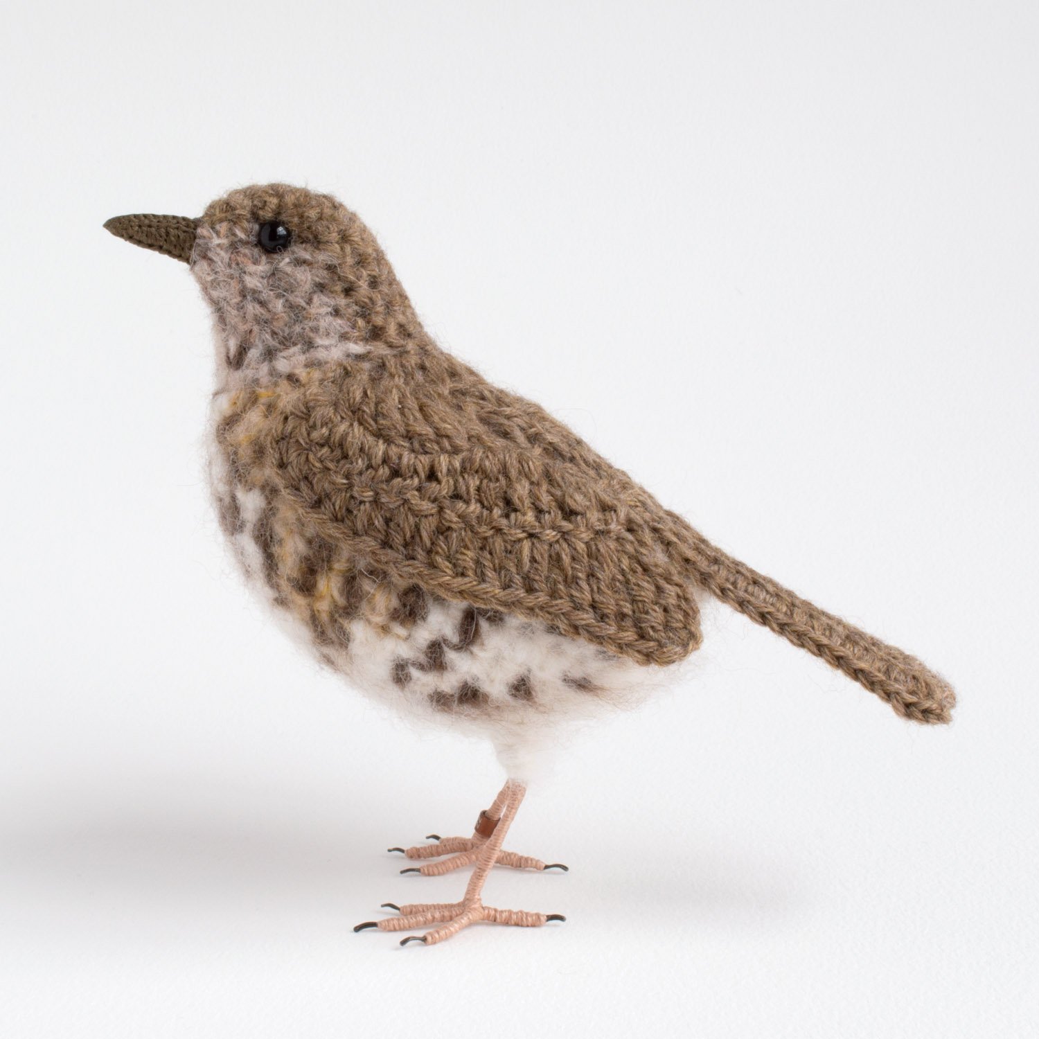 2022 Song thrush 4 1500px.jpg