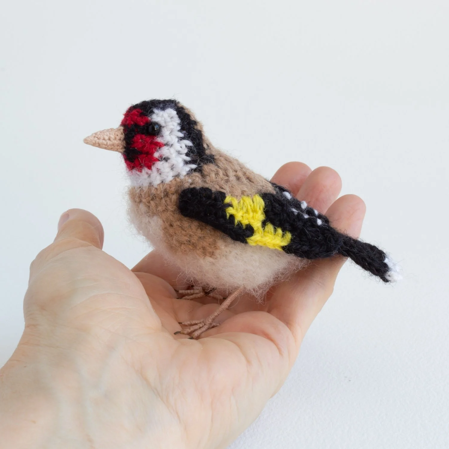 2022 Goldfinch in hand 1.jpg
