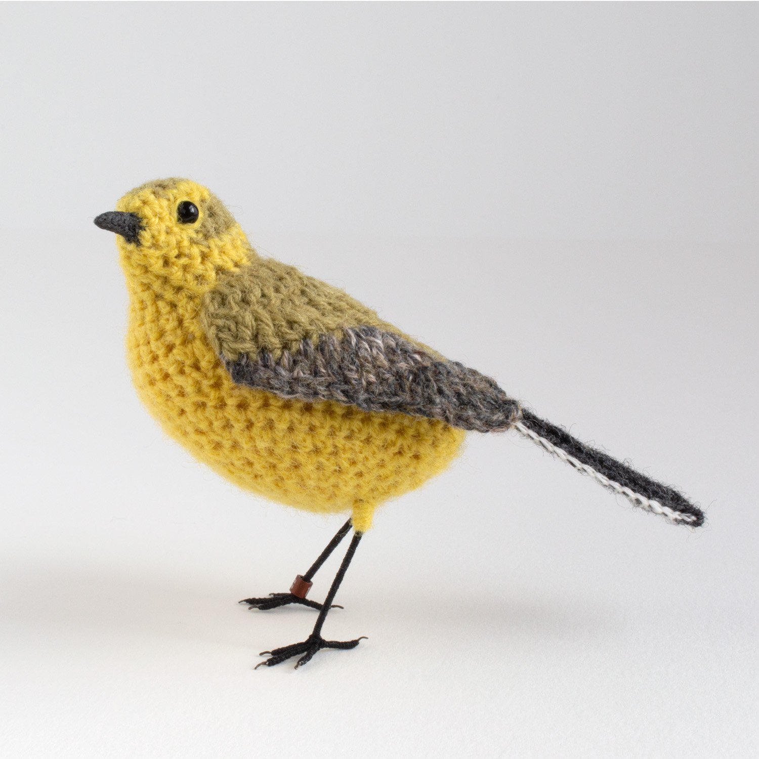 2022 Yellow wagtail 3 1500px.jpg
