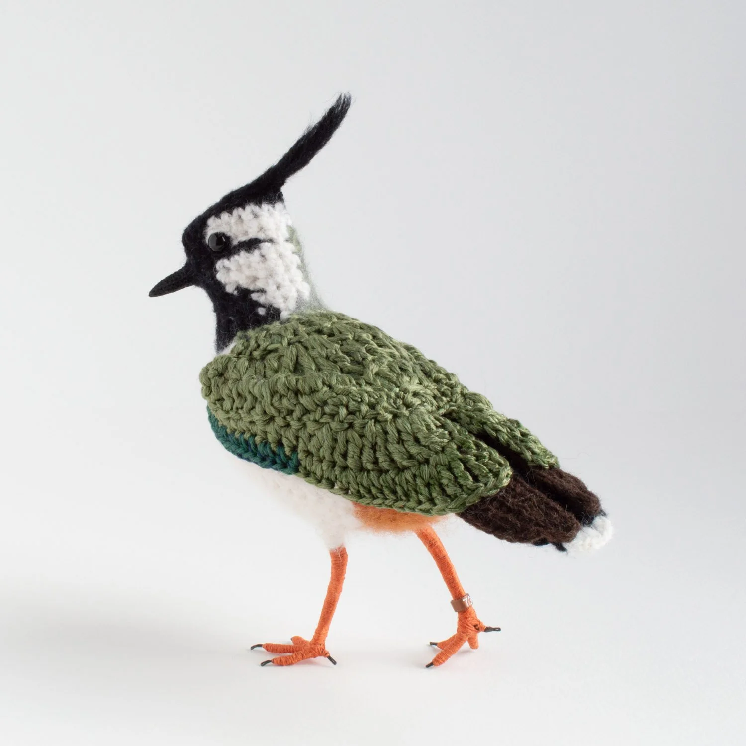2022 Lapwing 5 1500px.jpg