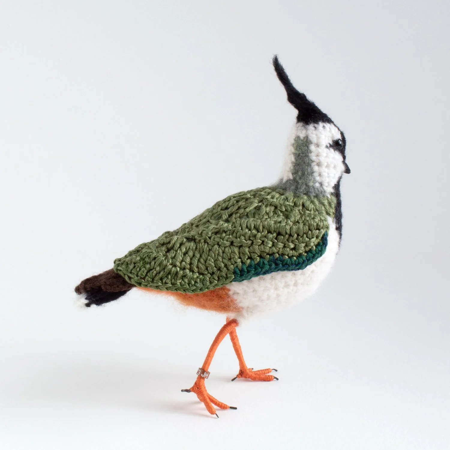 2022 Lapwing 2 1500px.jpg