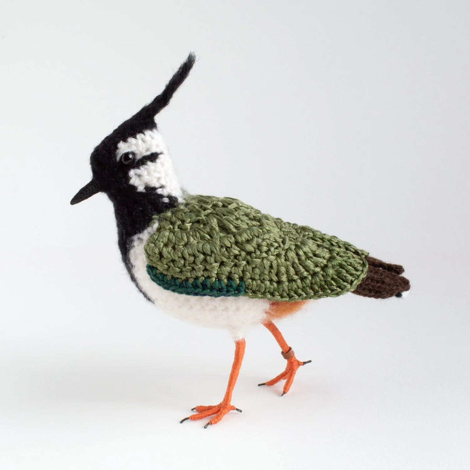 2022 Lapwing 1 1500px.jpg