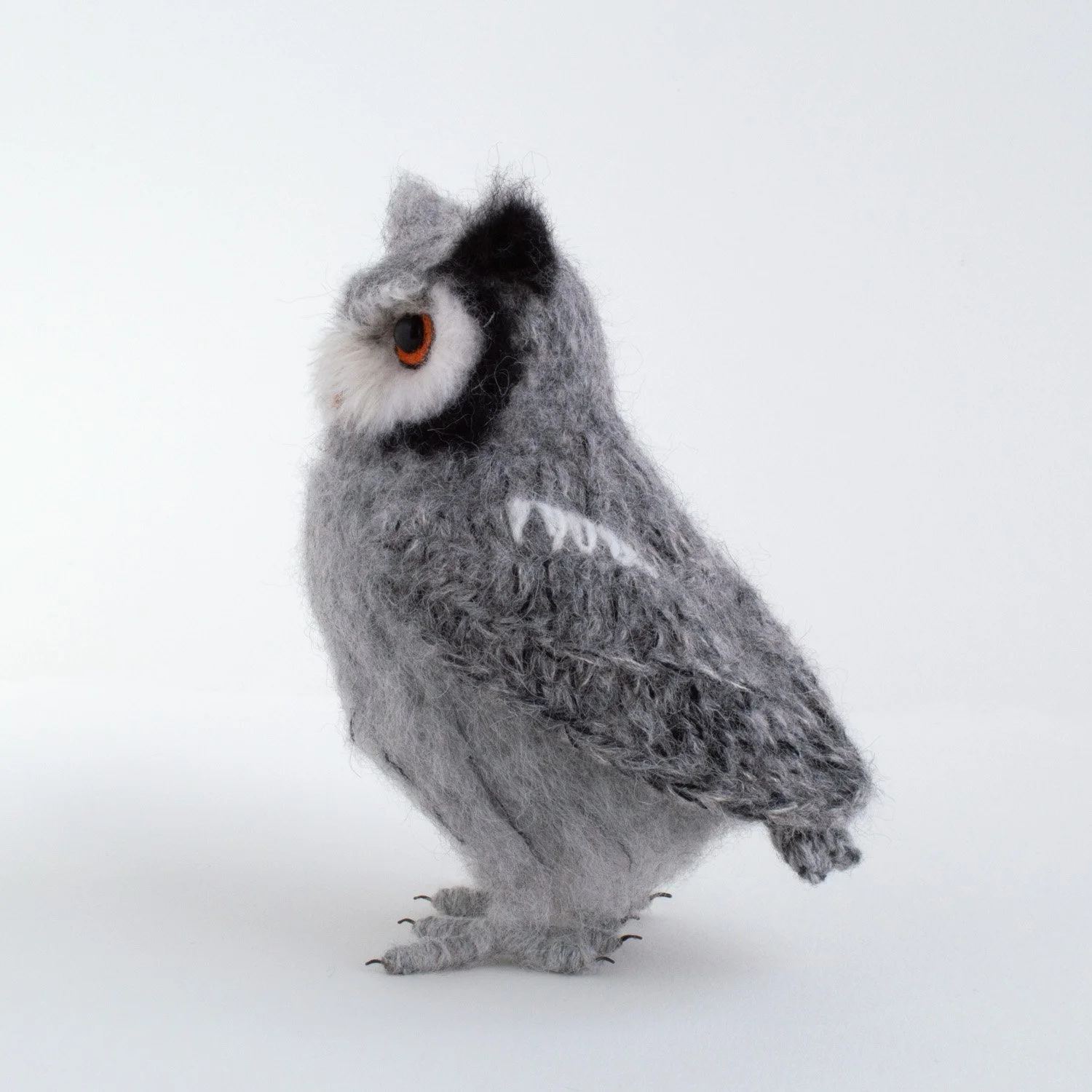 2022 Scops owl 7 1500px.jpg