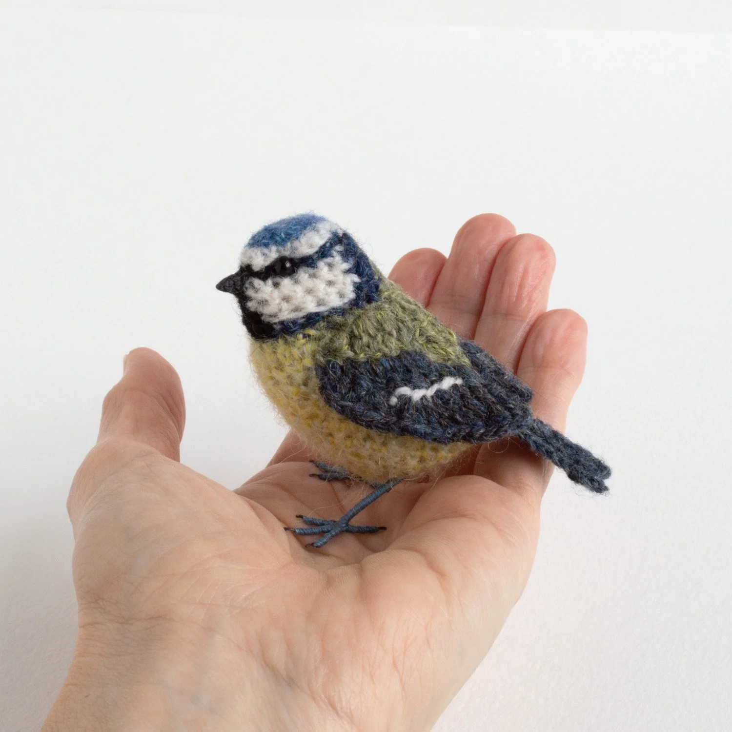2022 Muted bluetit - in hand - 1500px.jpg