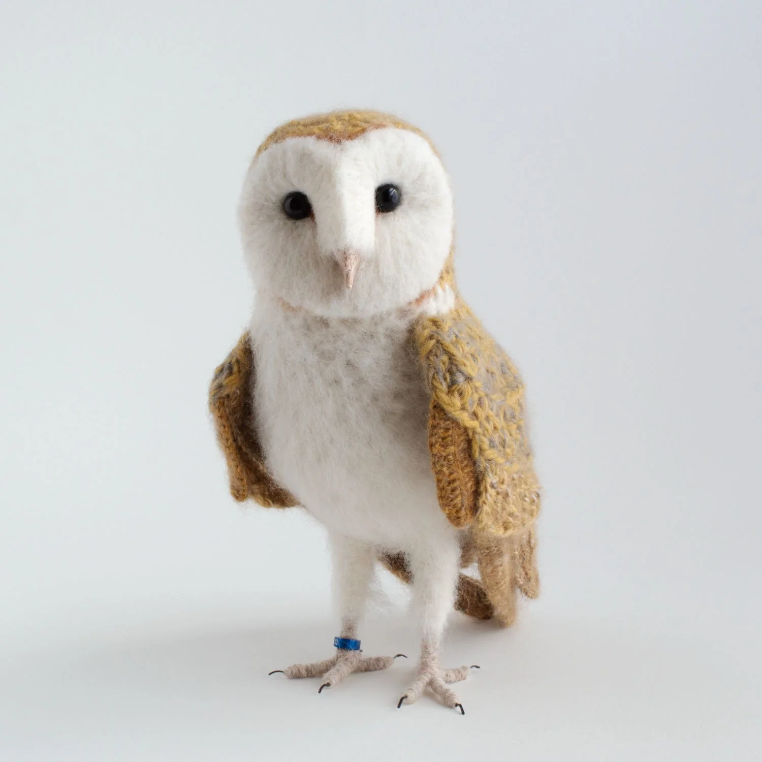 *2023 Barn owl 10 1500px.jpg