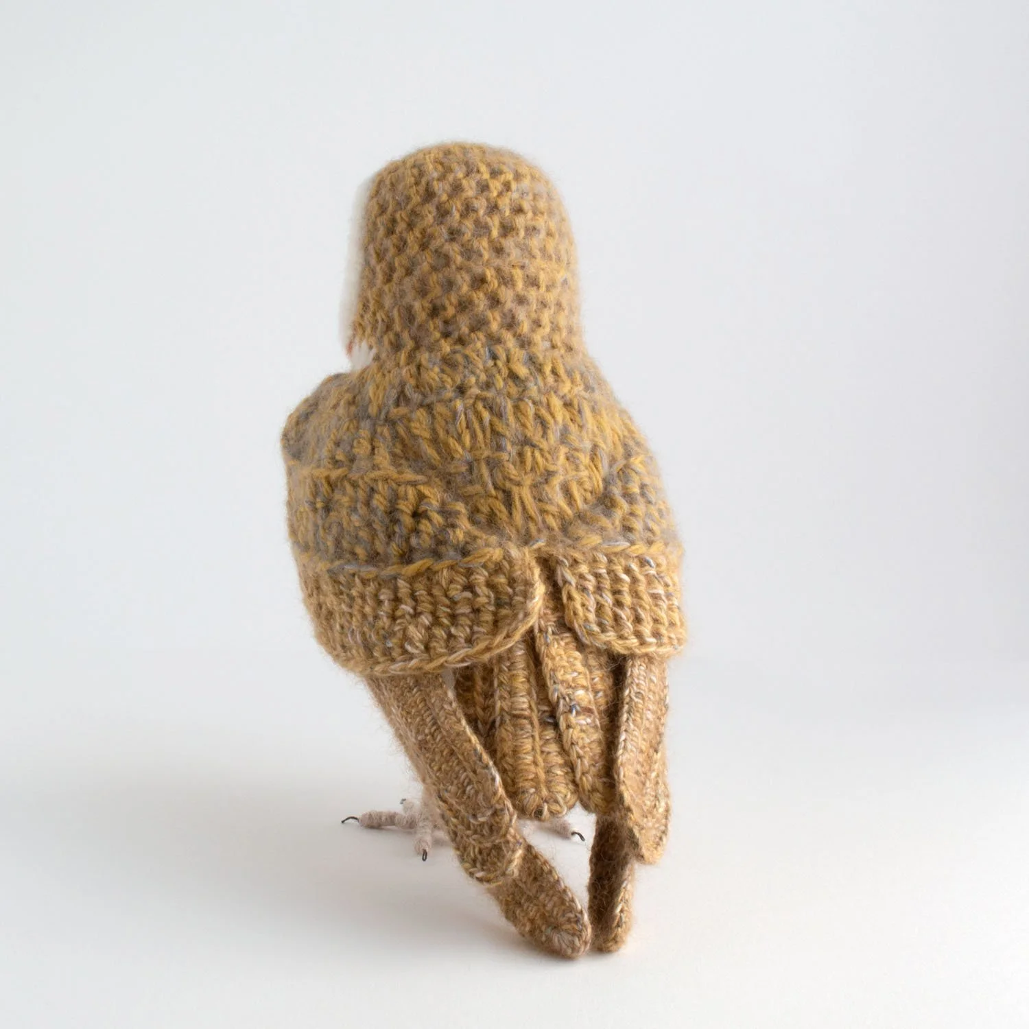 *2023 Barn owl 8 1500px back view.jpg