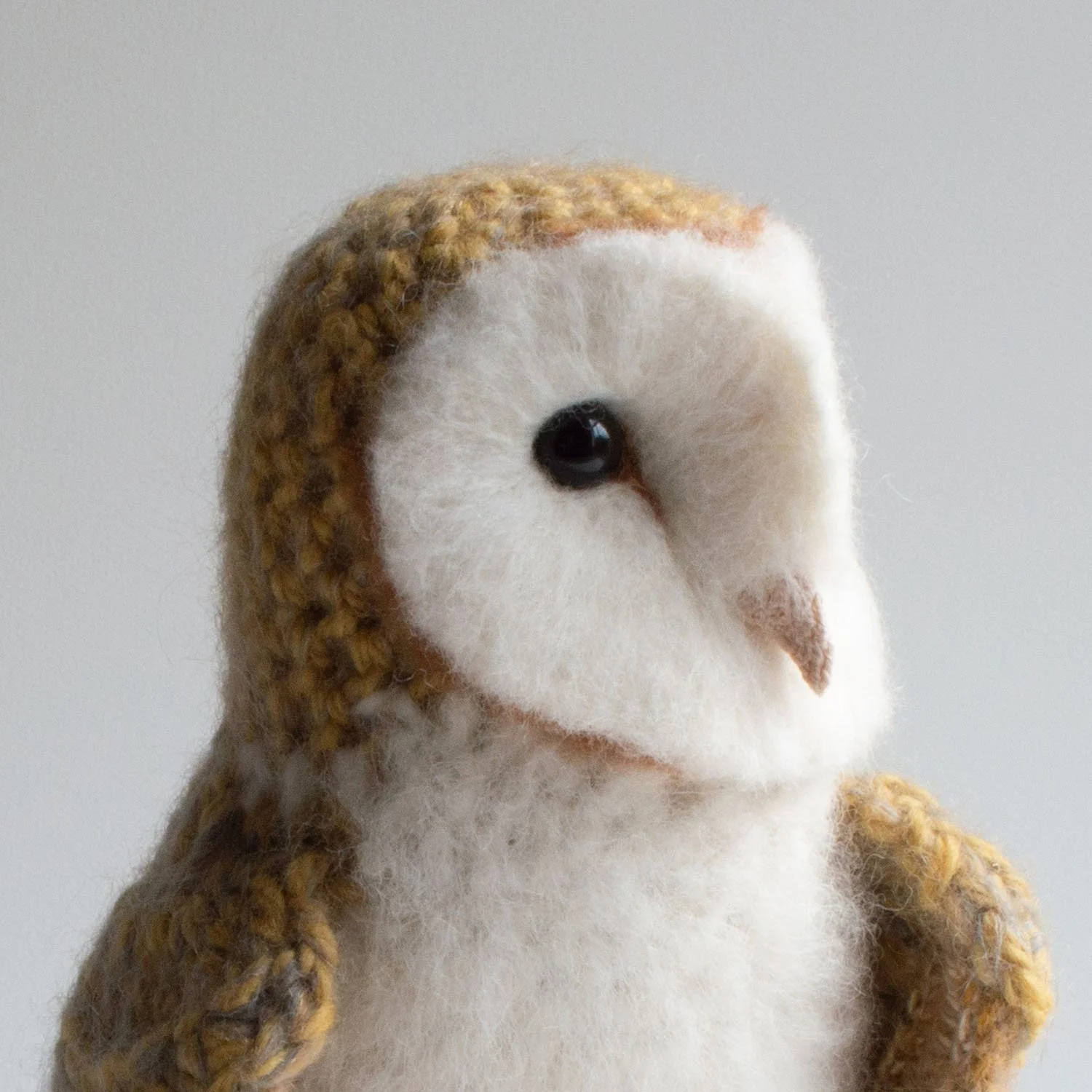 2023 Barn owl 2a - head crop - 1500px.jpg
