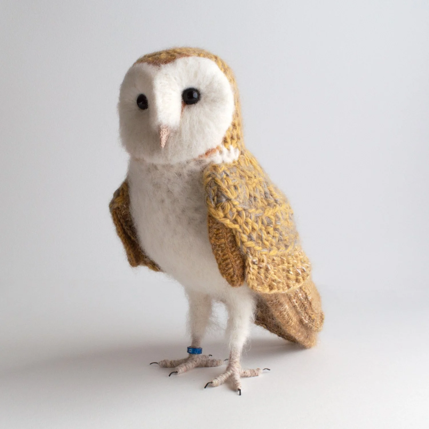 2023 Barn owl 3a 1500px.jpg