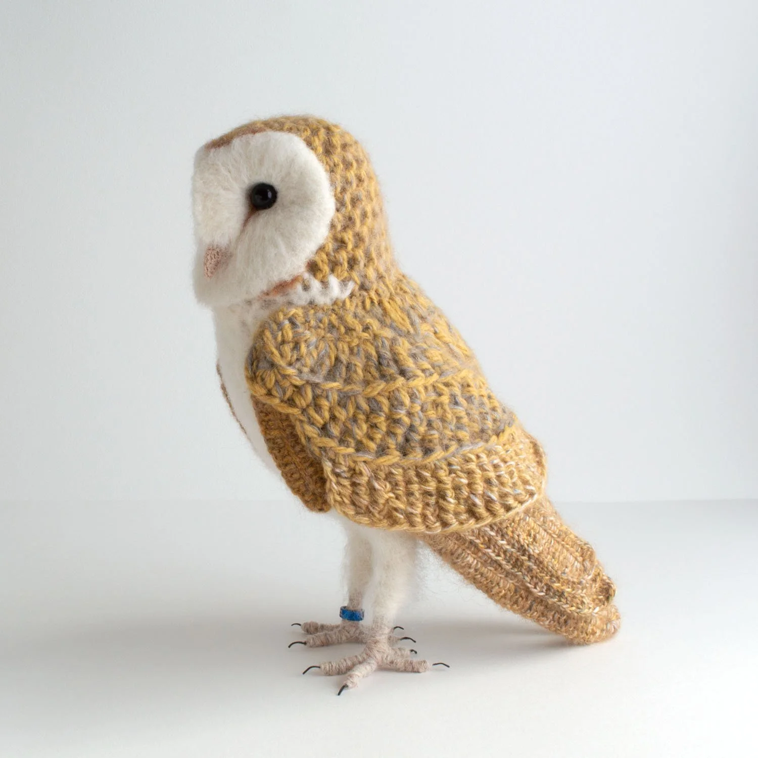 2023 Barn owl 1 1500px.jpg