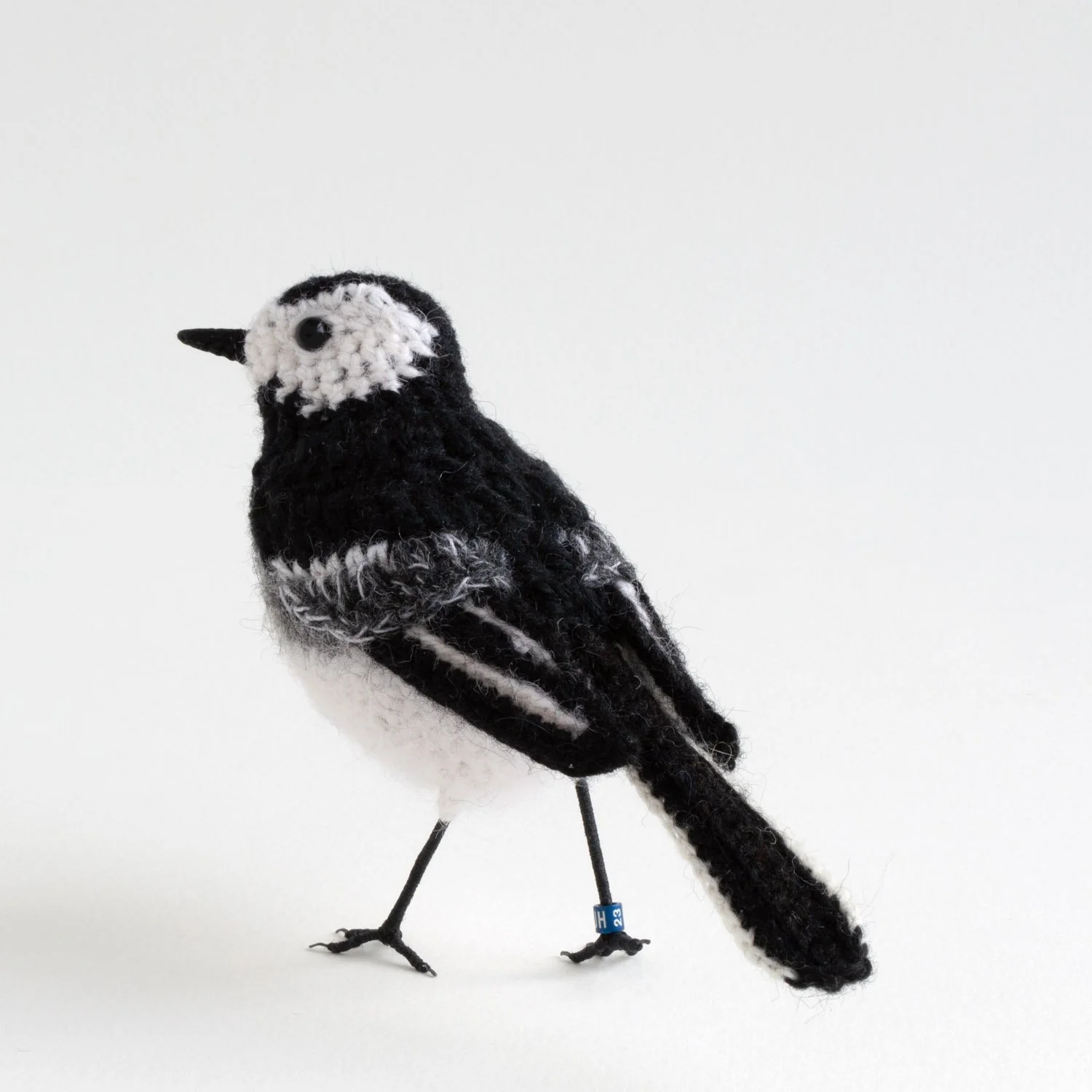 2023 Pied wagtail 7a 1500px.jpg