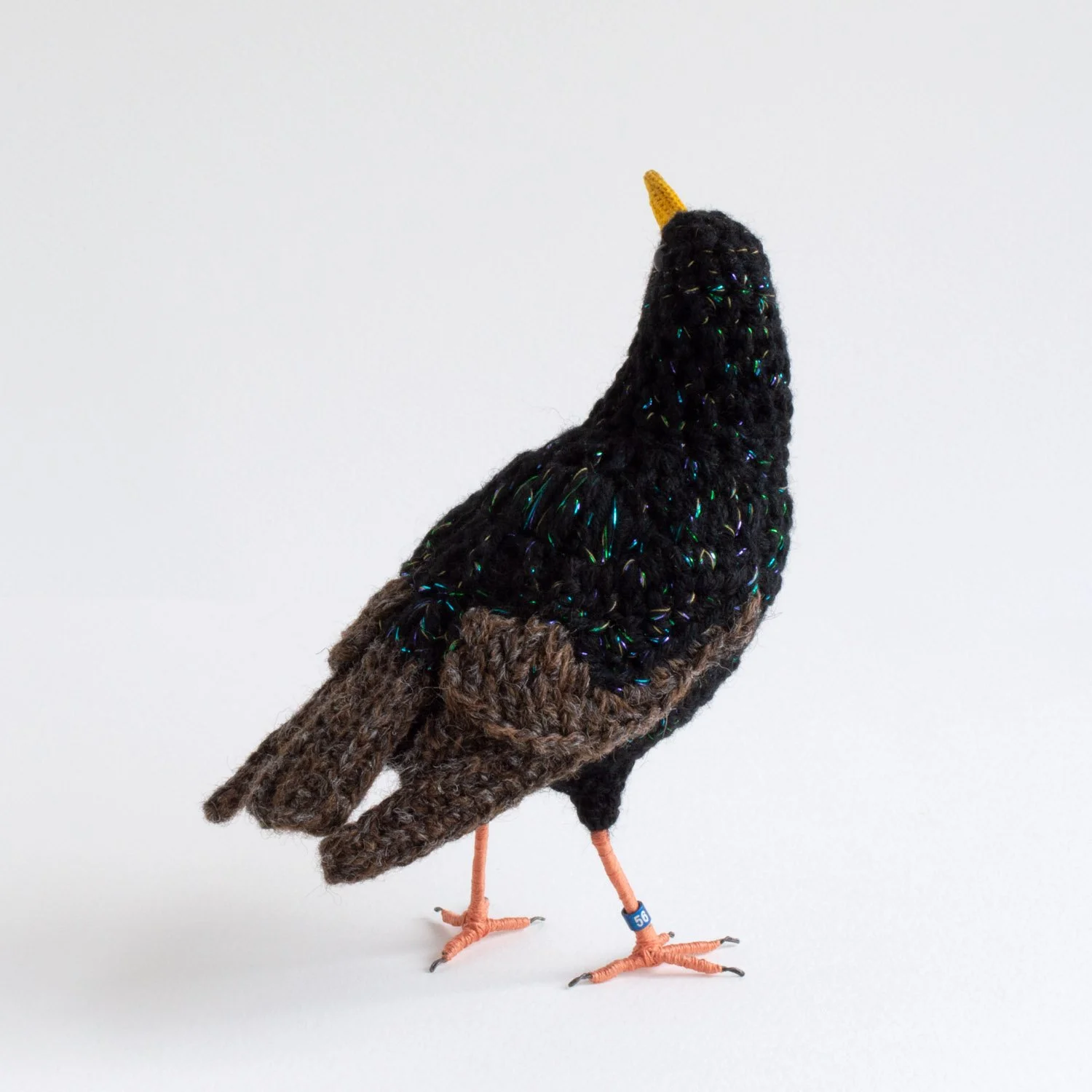 2023 Starling 3 1500px.jpg