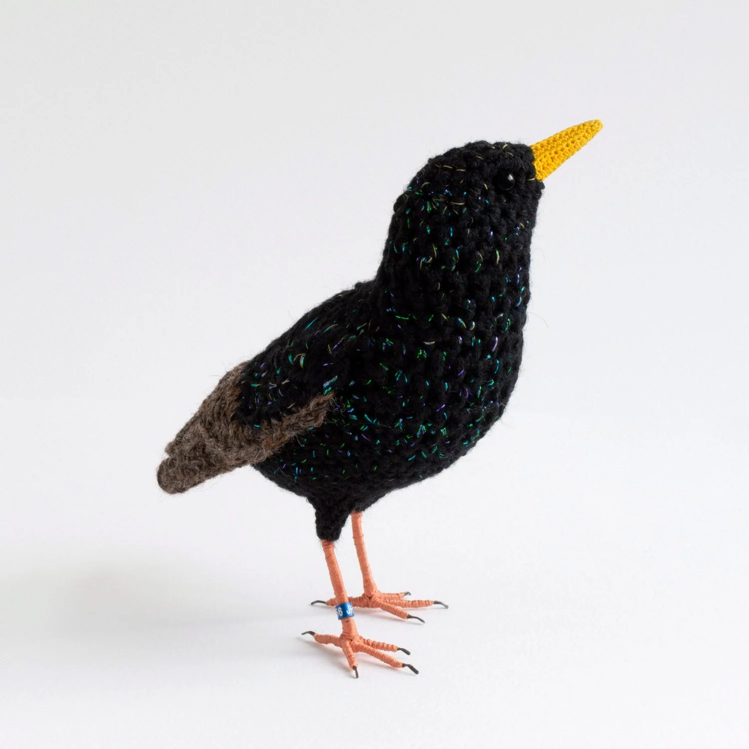 2023 Starling 2 1500px.jpg