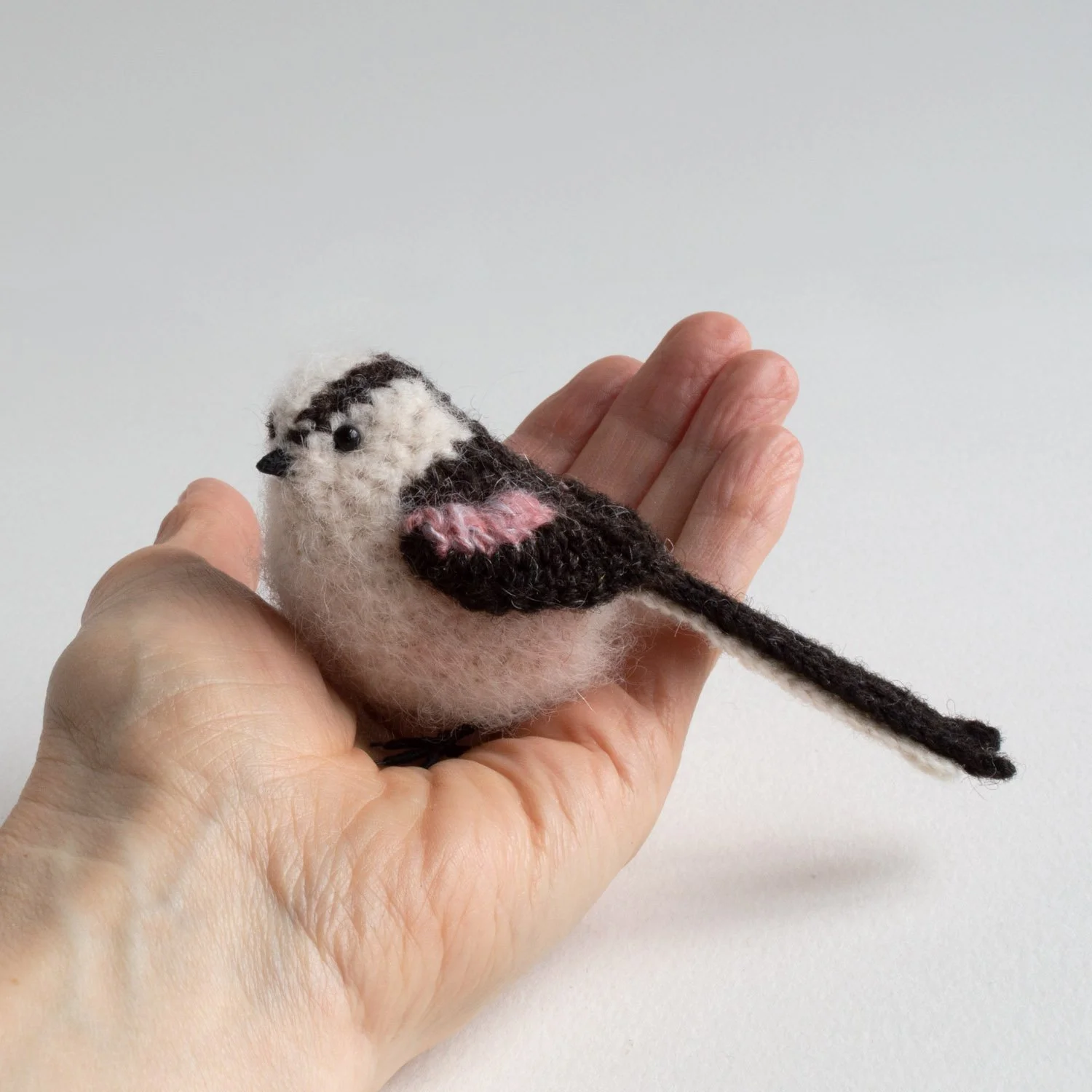 2024 Long-tailed tit in hand 1500px.jpg