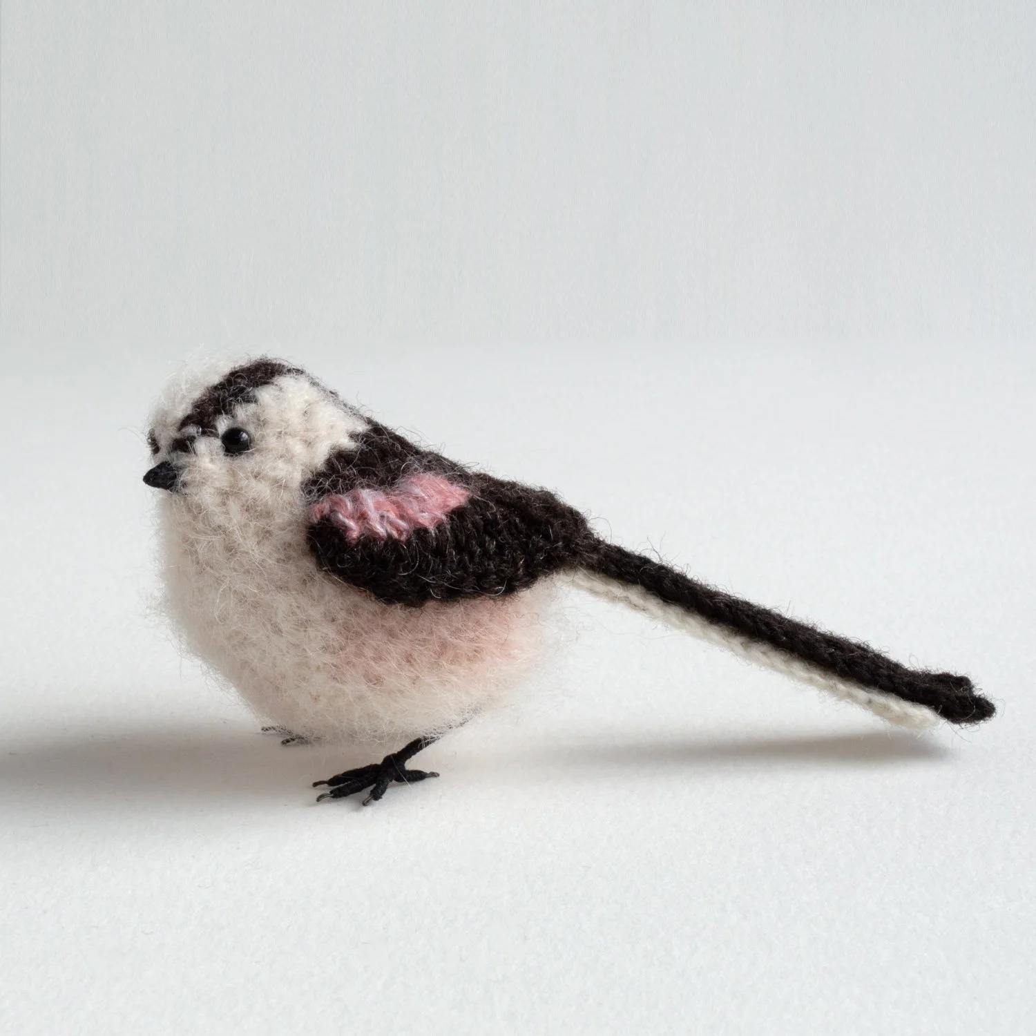 2024 Long-tailed tit 2 1500px.jpg