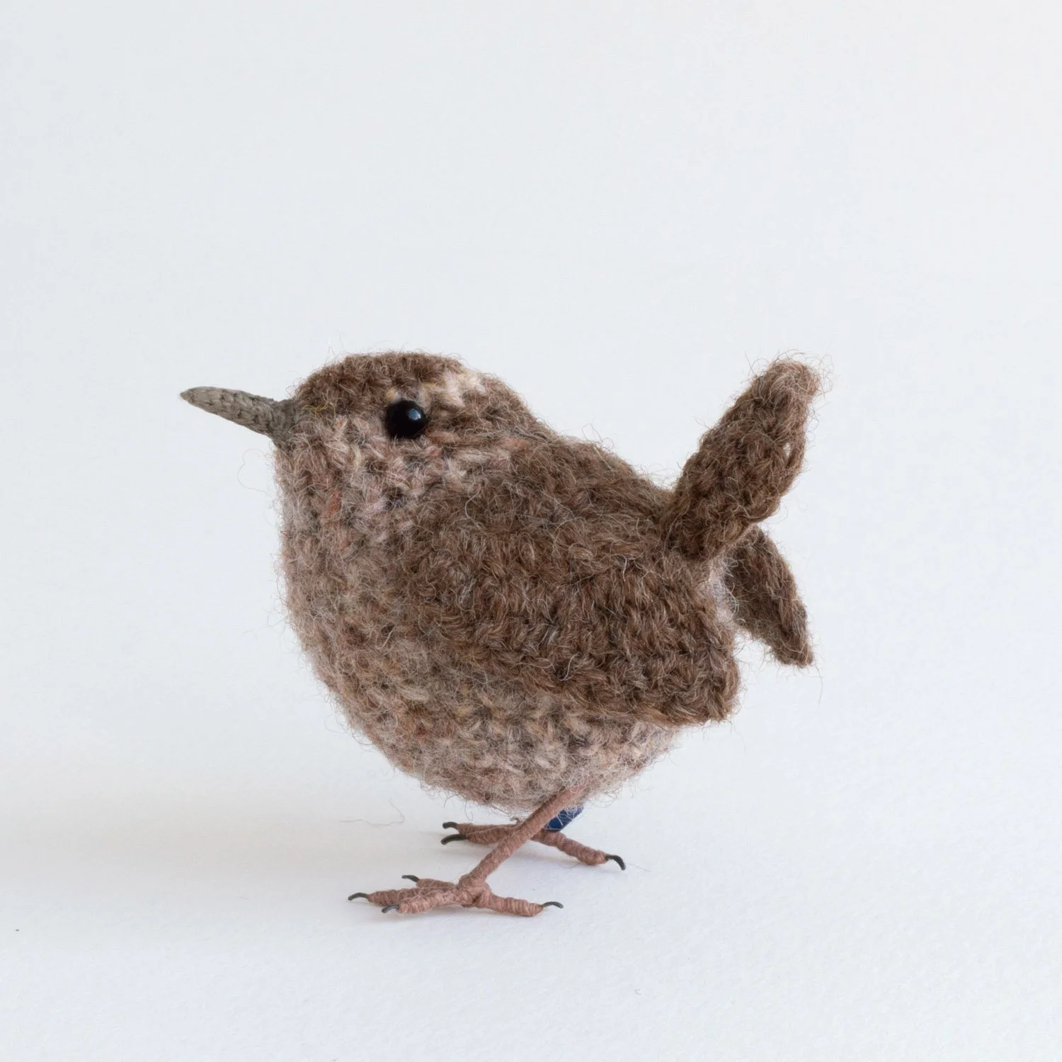 2023 Wren 1a 1500px v2.jpg