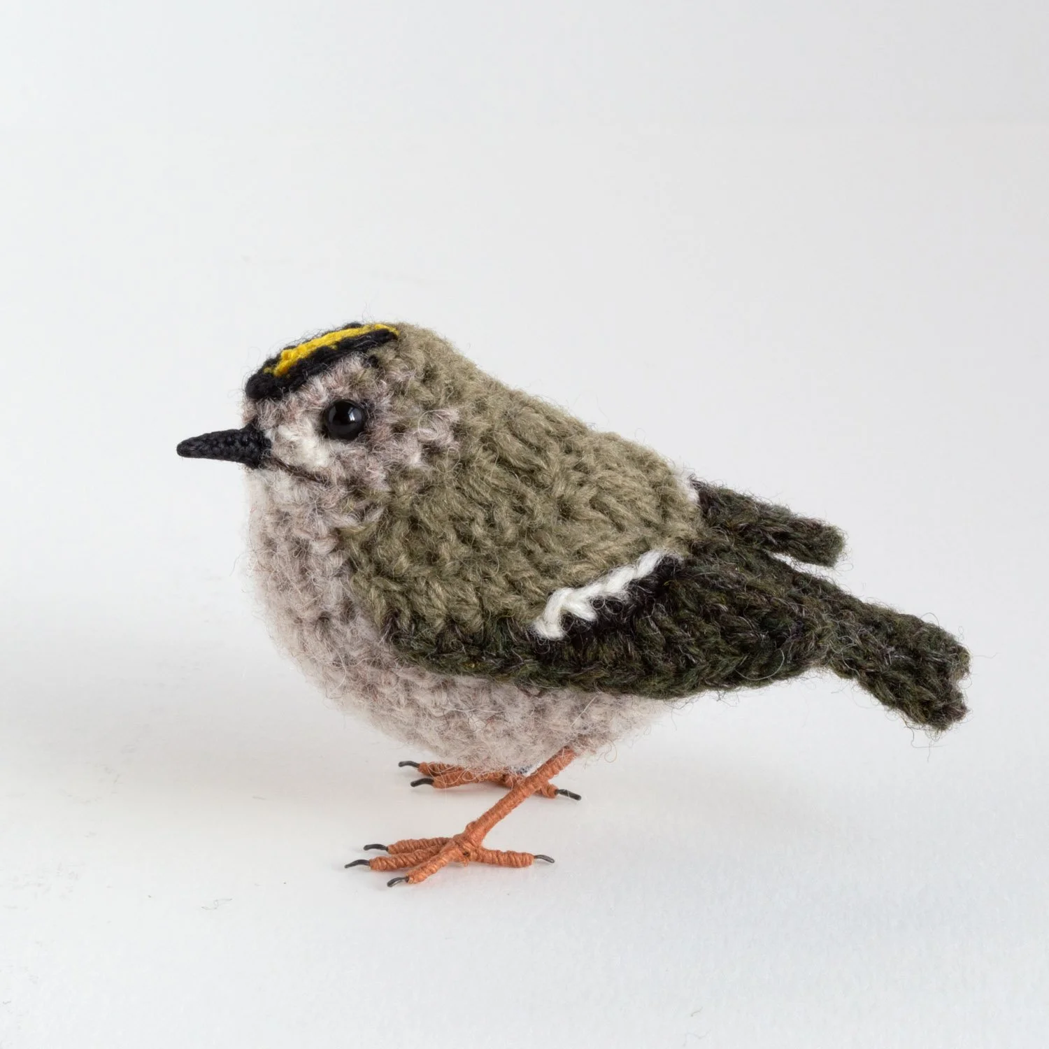 2024 Goldcrest 1 1500pxjpg.jpg