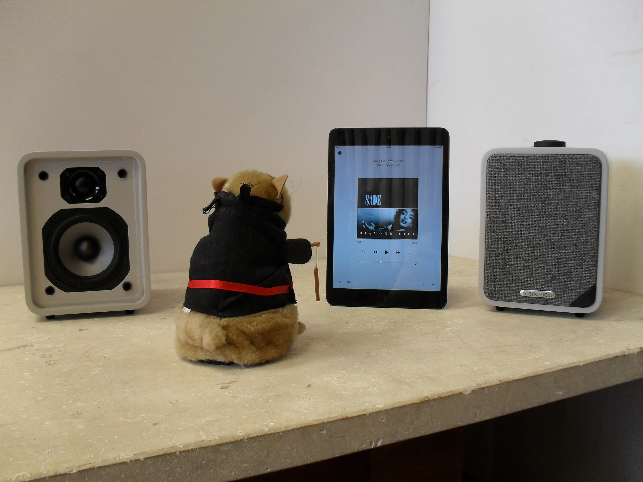 KungFu Hamster listening to Sade... he's a smooth operator!