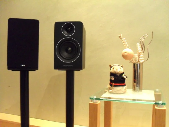 acoustic energy speaker