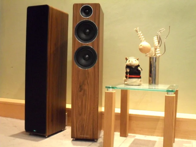 Acoustic Energy AE109