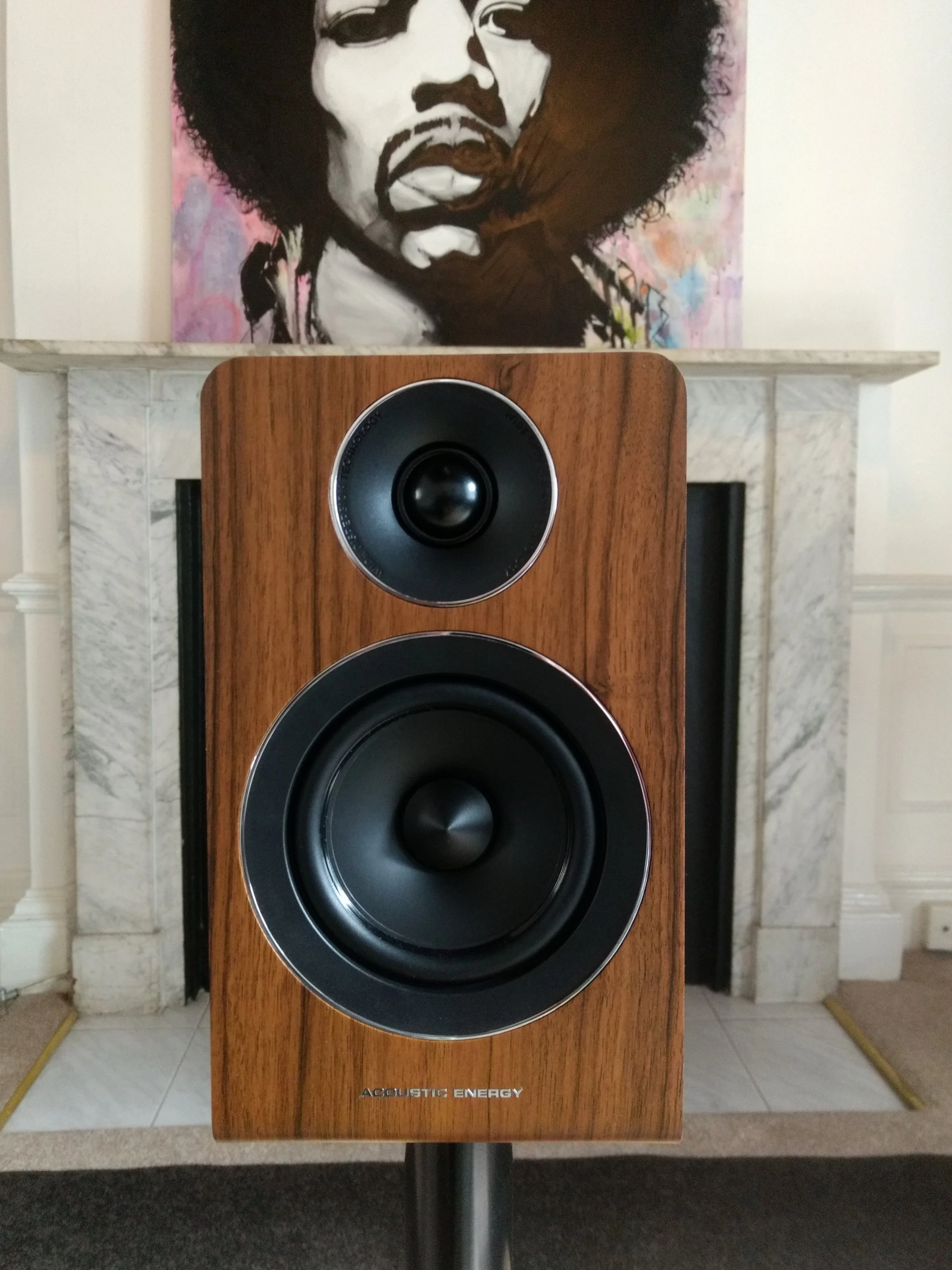 AE100