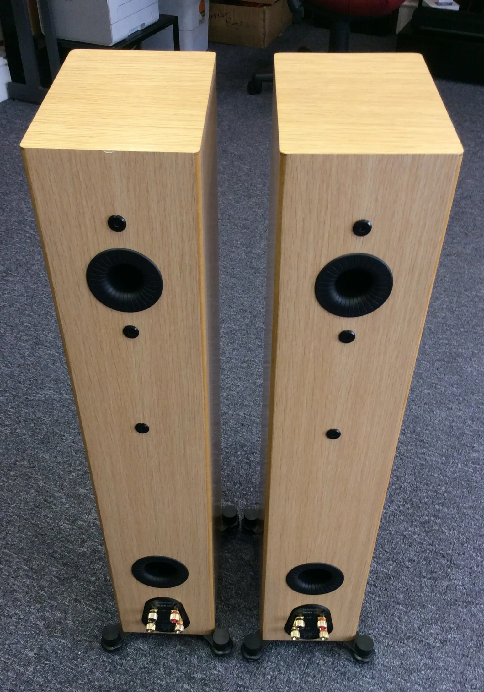 Silver 200 Floorstanding Speaker
