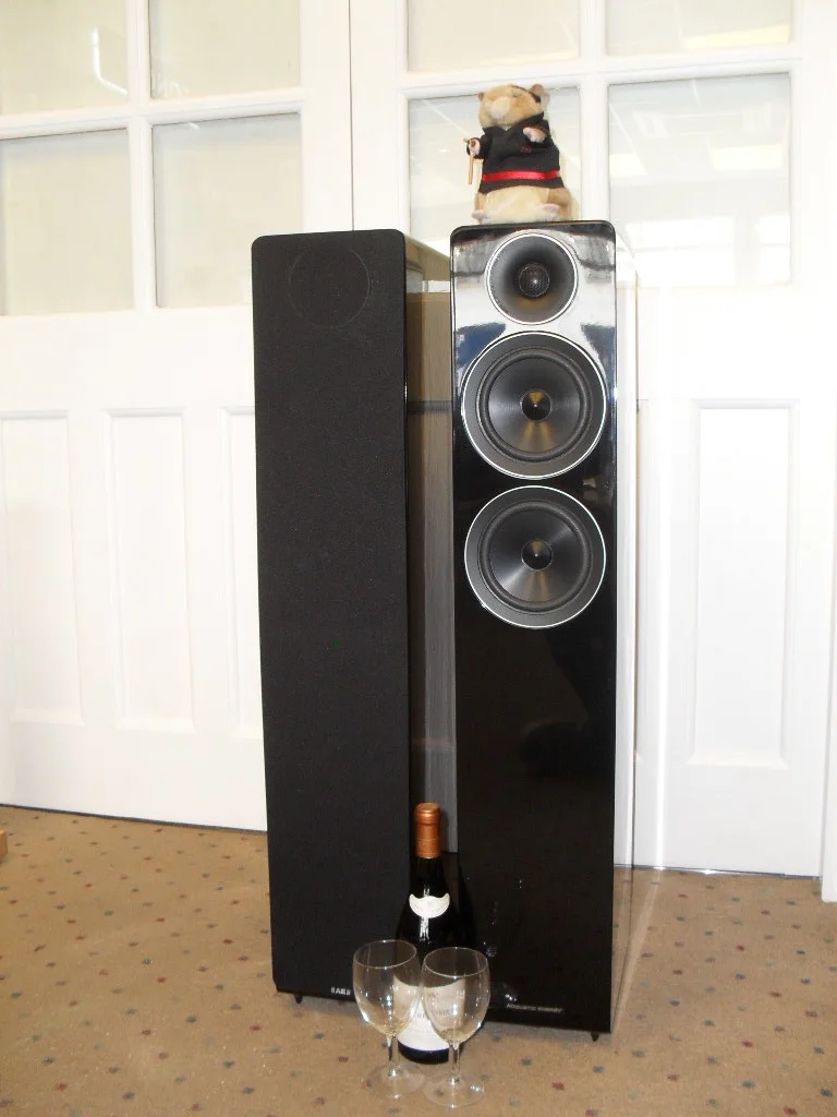 acoustic energy floor standing speakers
