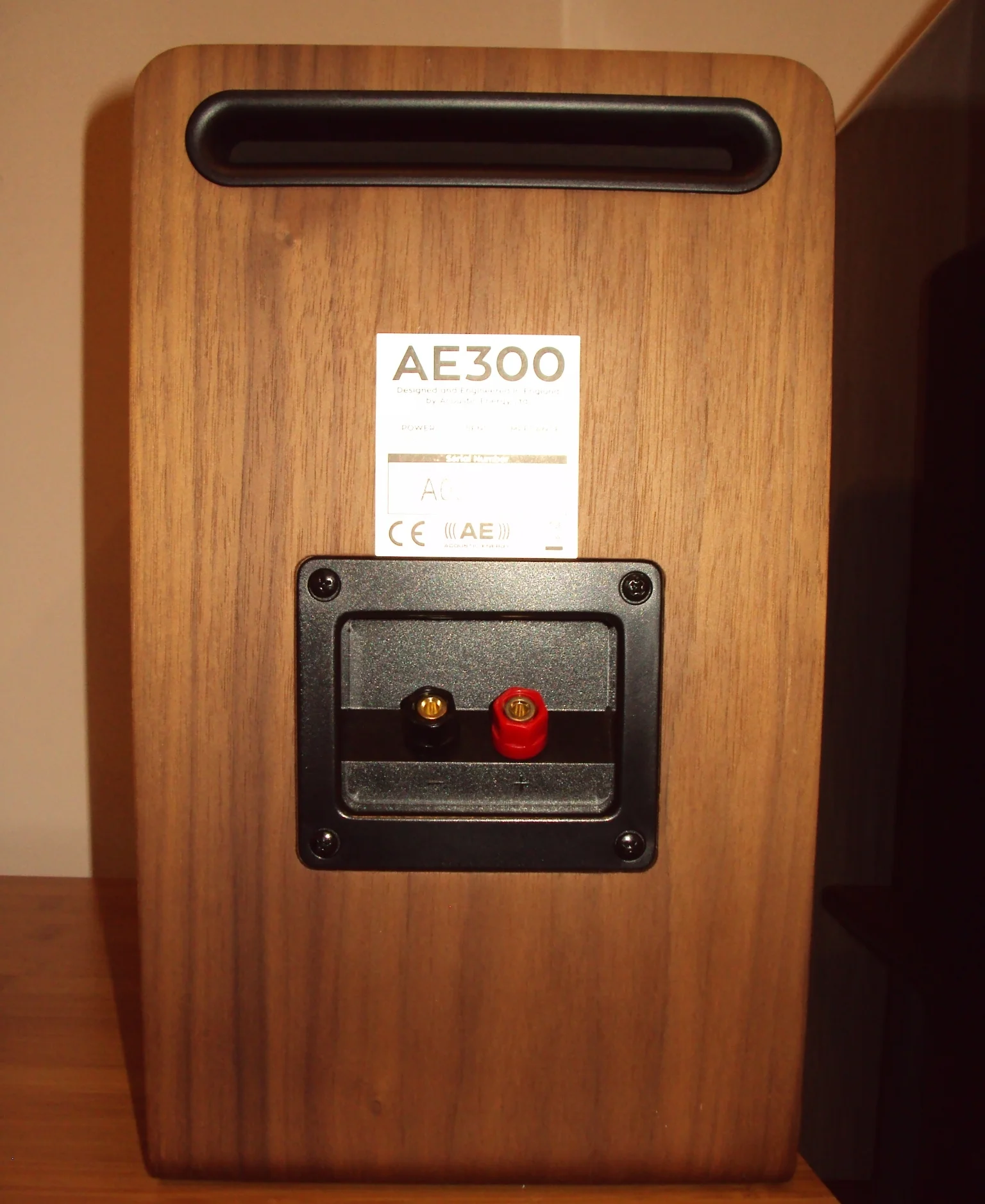 acoustic energy 300