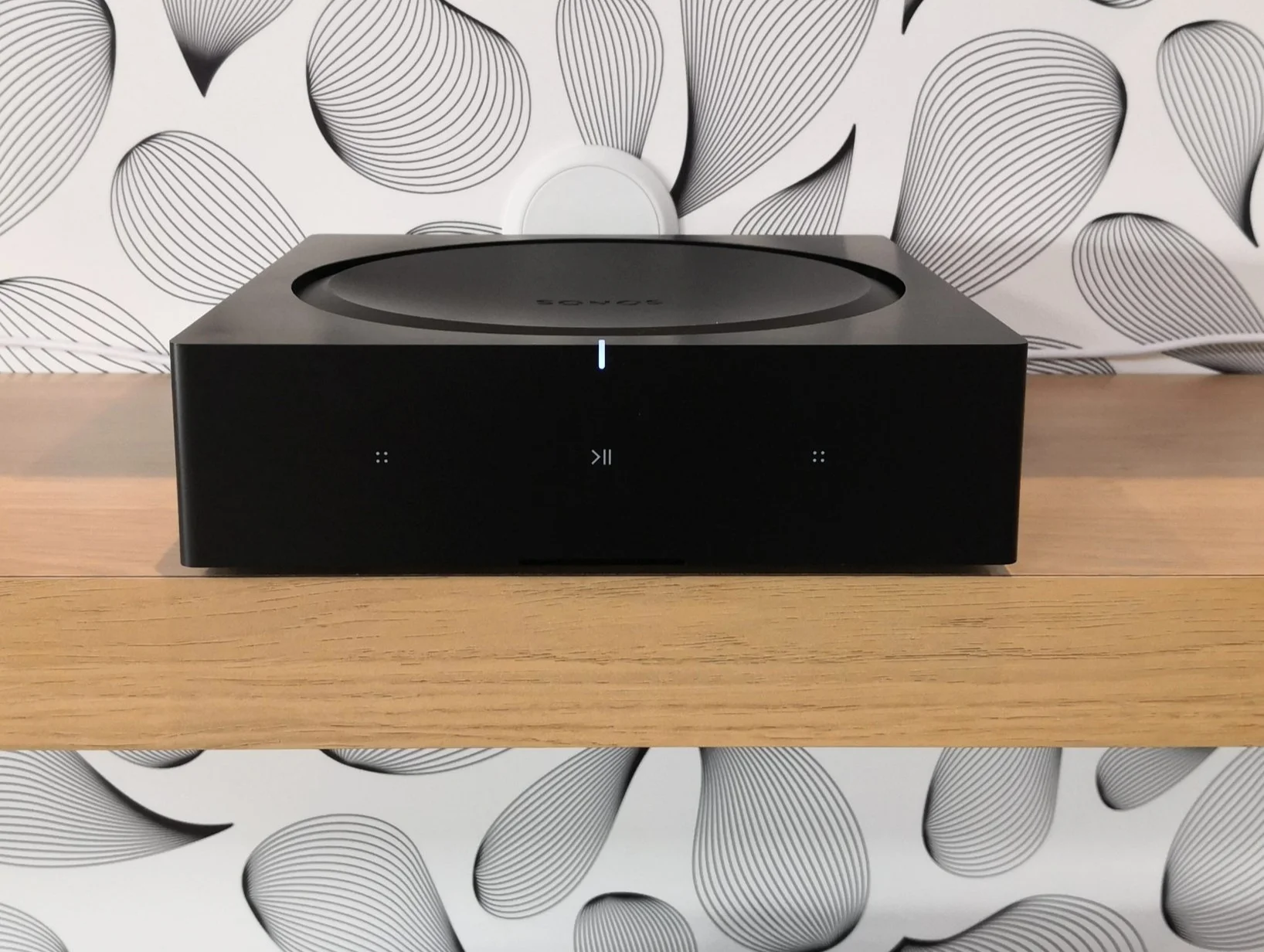 AMP1.jpg