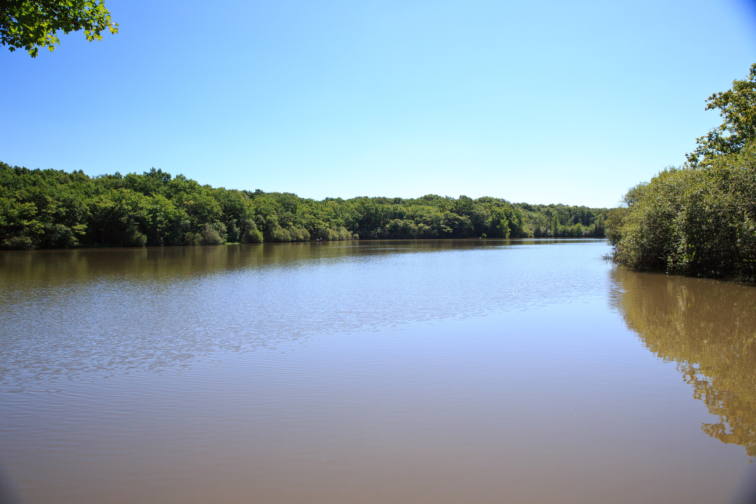 Lake-Meillant-2013_167.jpg