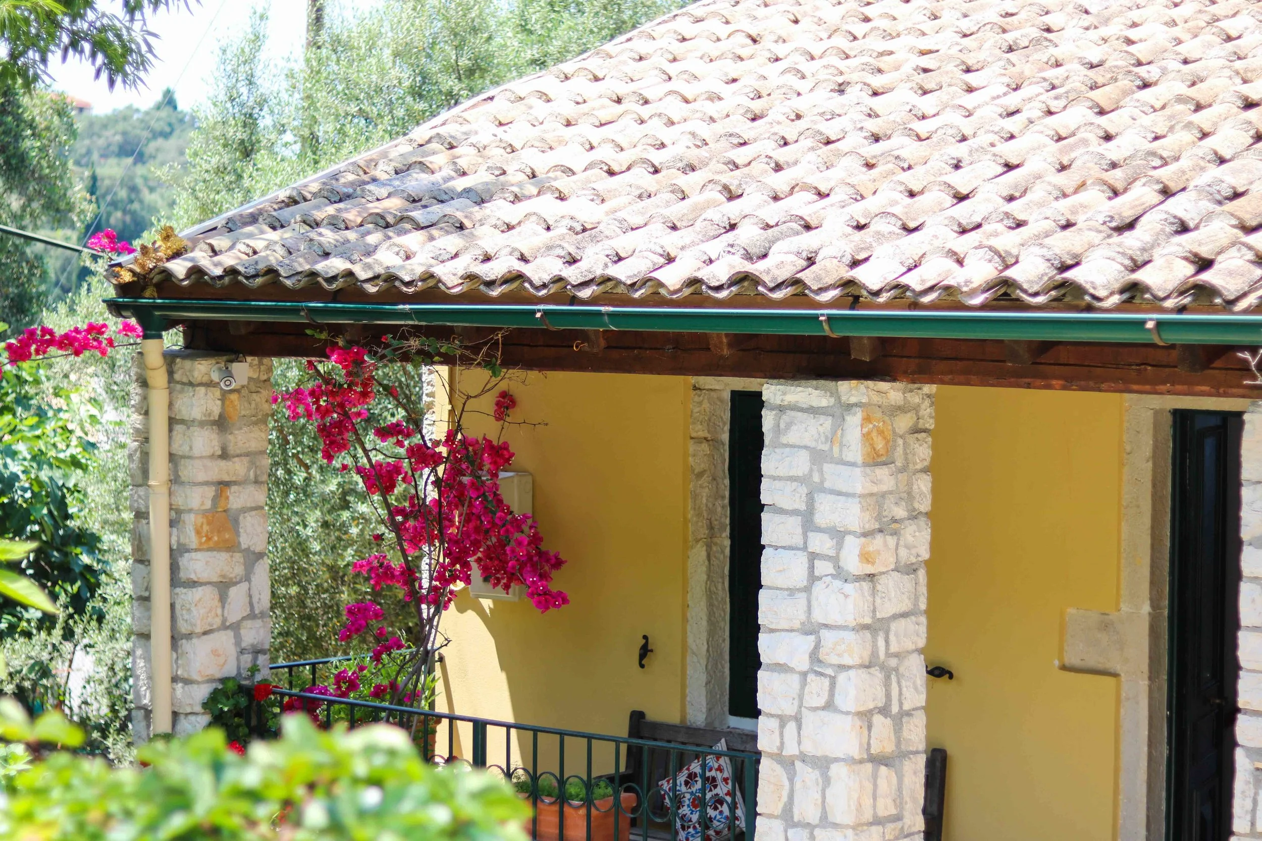 The Olive Press