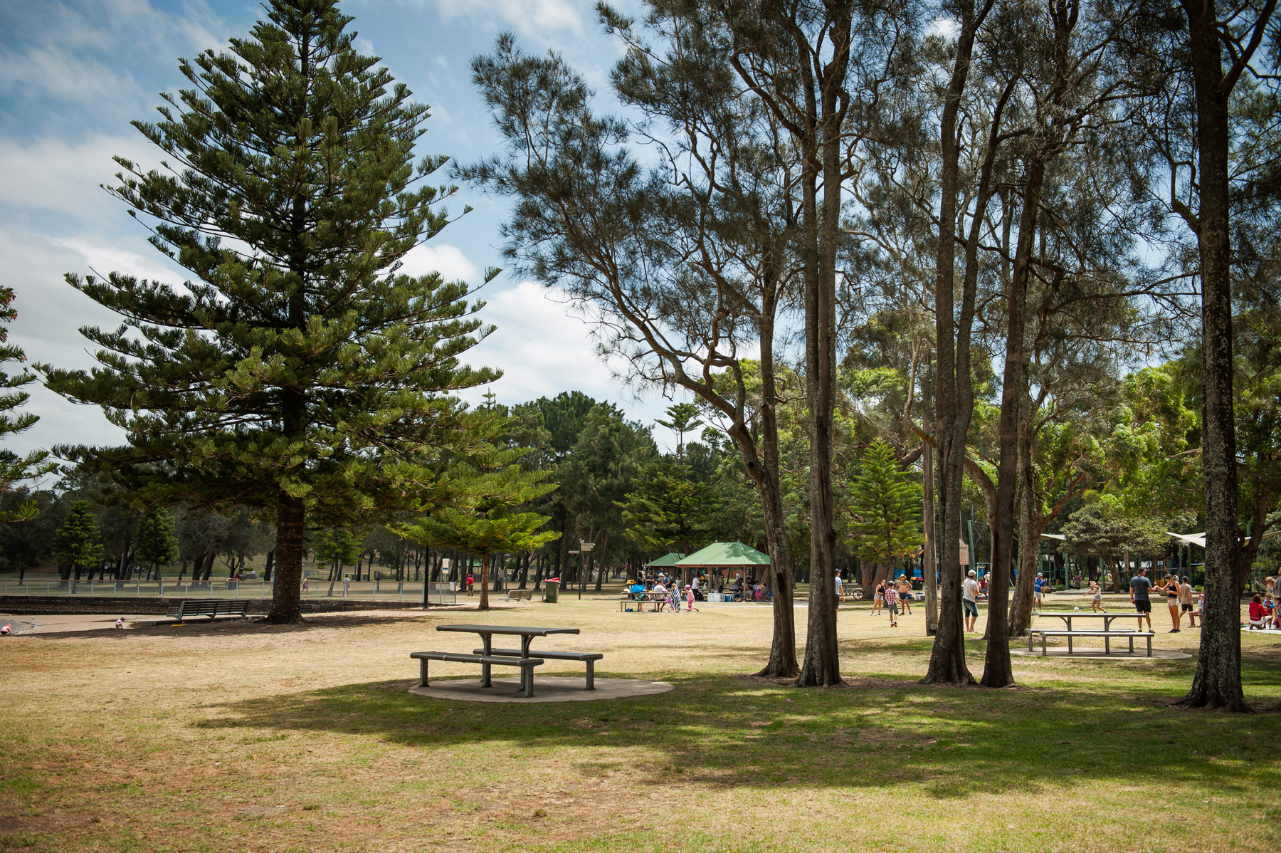 Carss Park | Kogarah Bay - Sydney