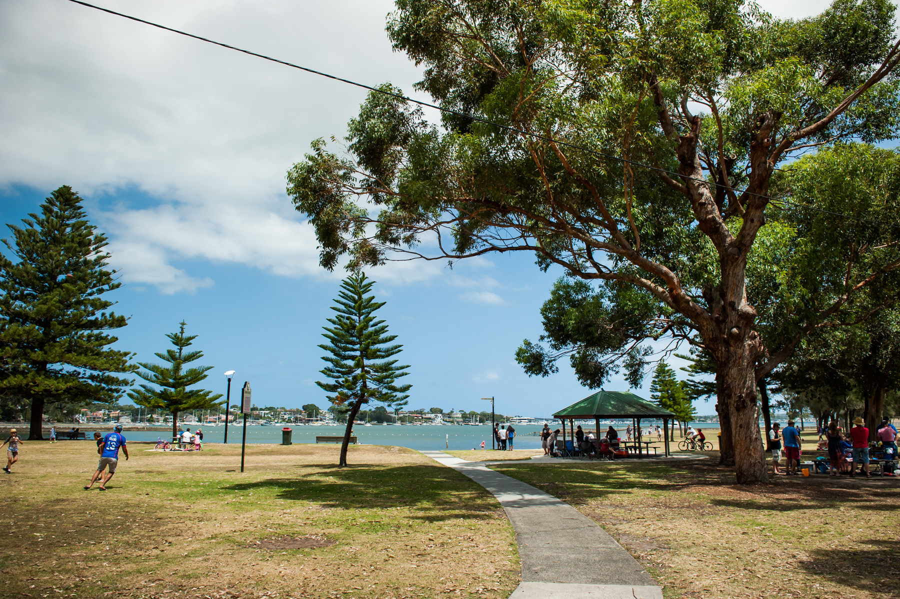 Carss Park | Kogarah Bay - Sydney