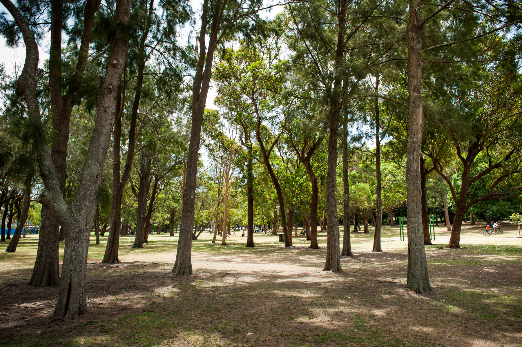 Carss Park | Kogarah Bay - Sydney