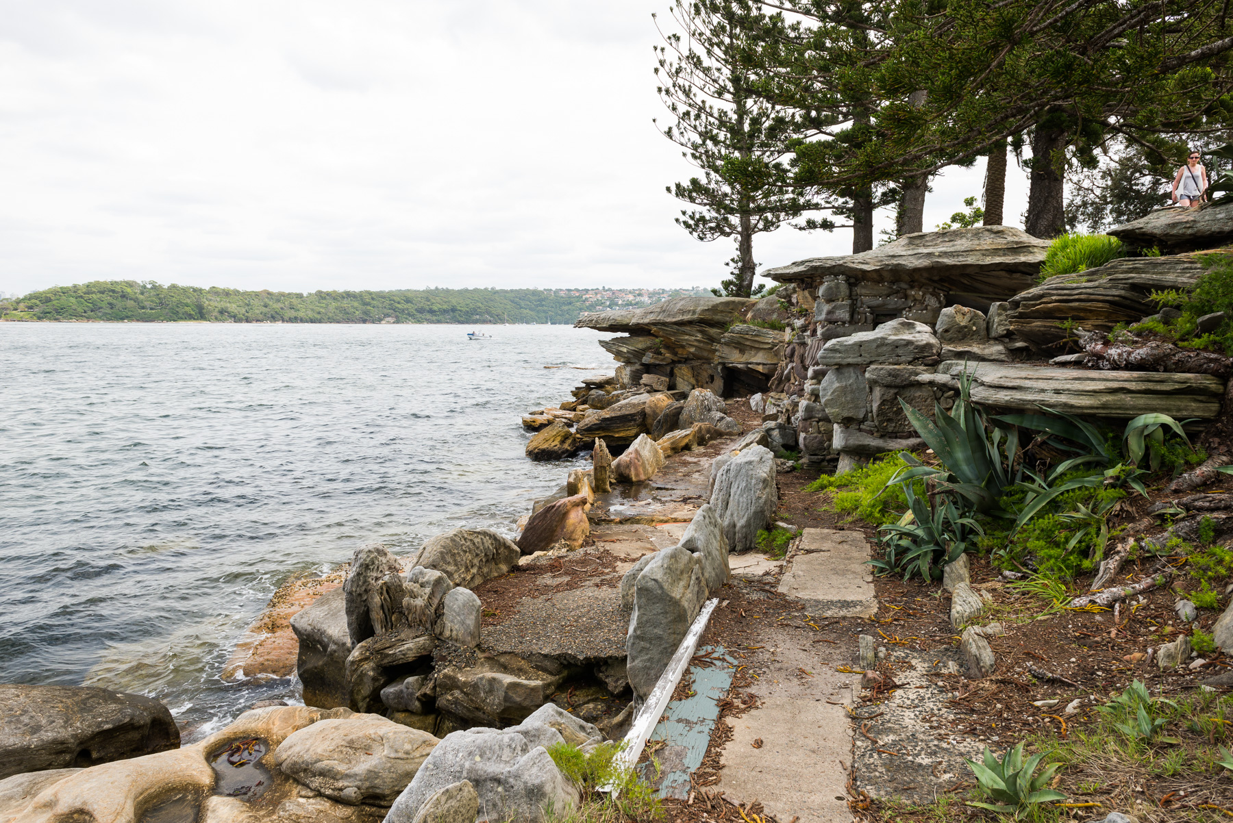 Shark Island | Sydney Harbour
