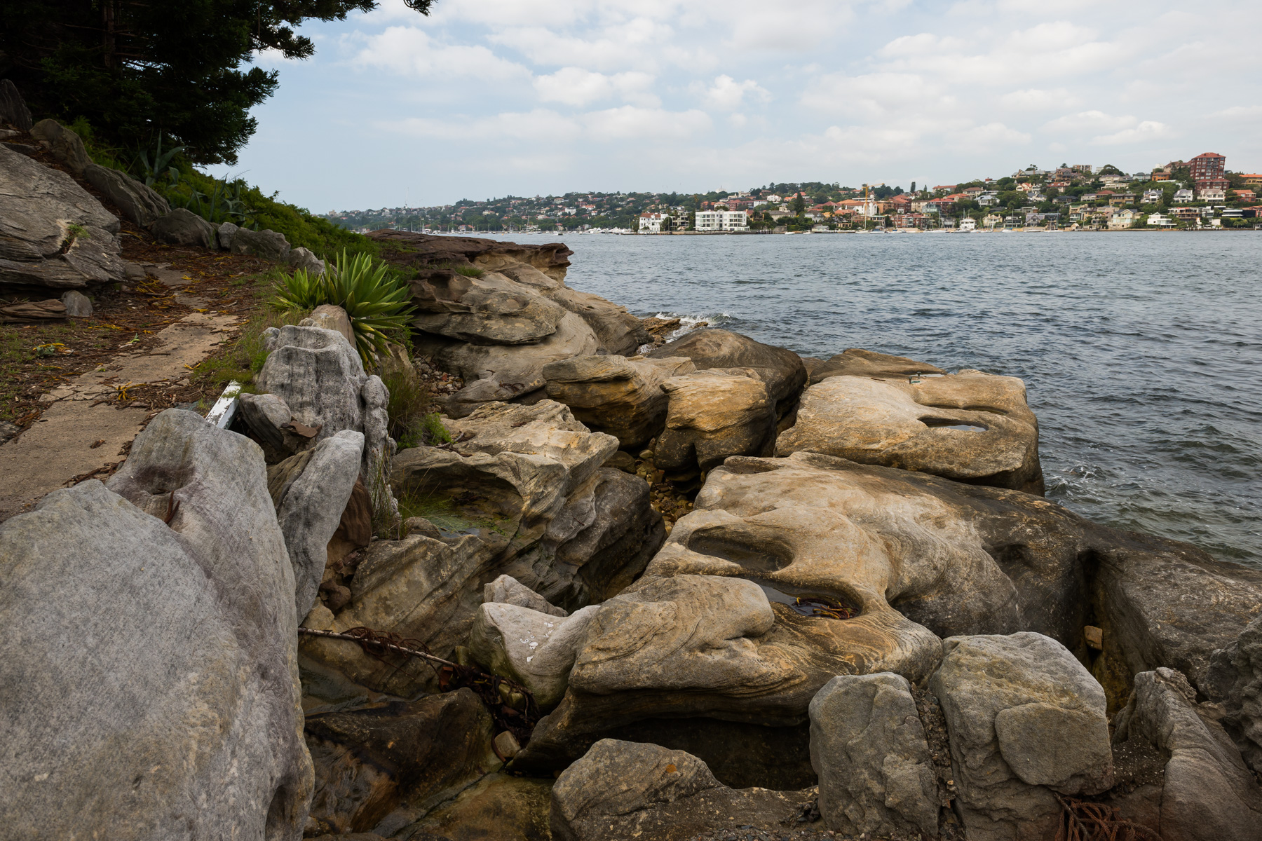 Shark Island | Sydney Harbour
