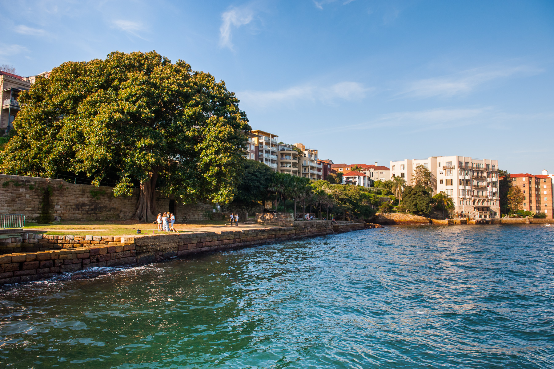 Jeffrey Street Wharf | Kirribilli | View from wharf