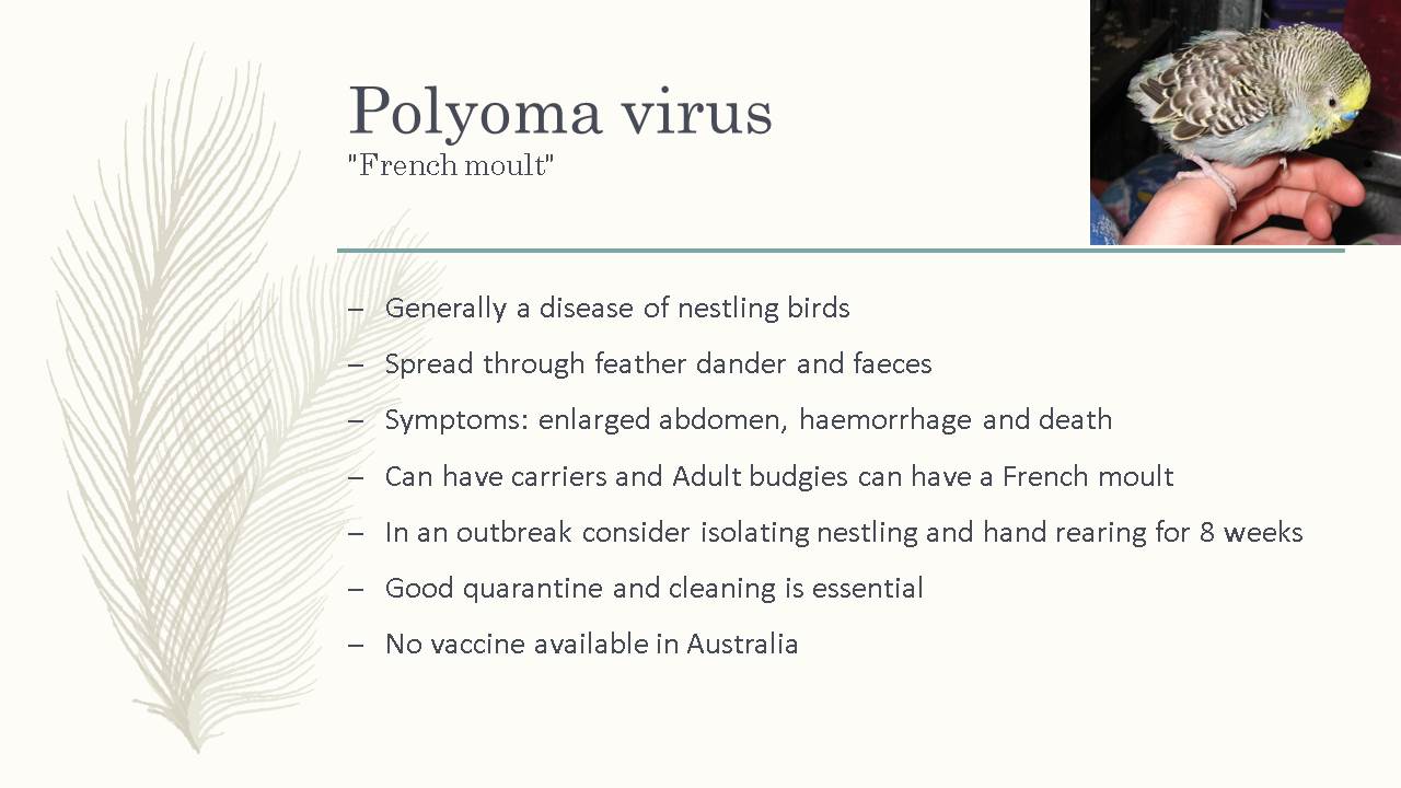 Slide7.JPG