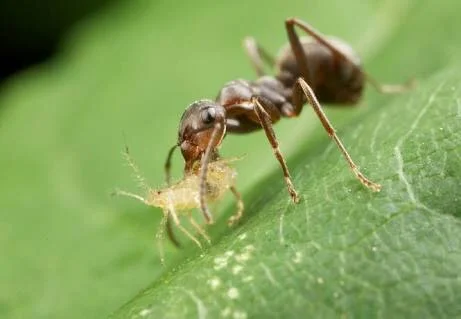 Working together makes us better